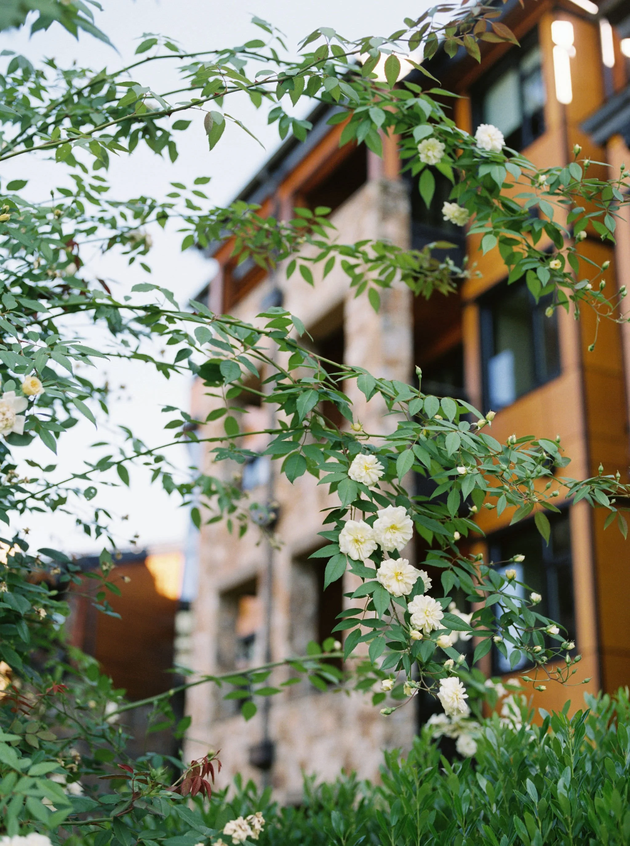 The Allison Inn & Spa Oregon Wedding Venue