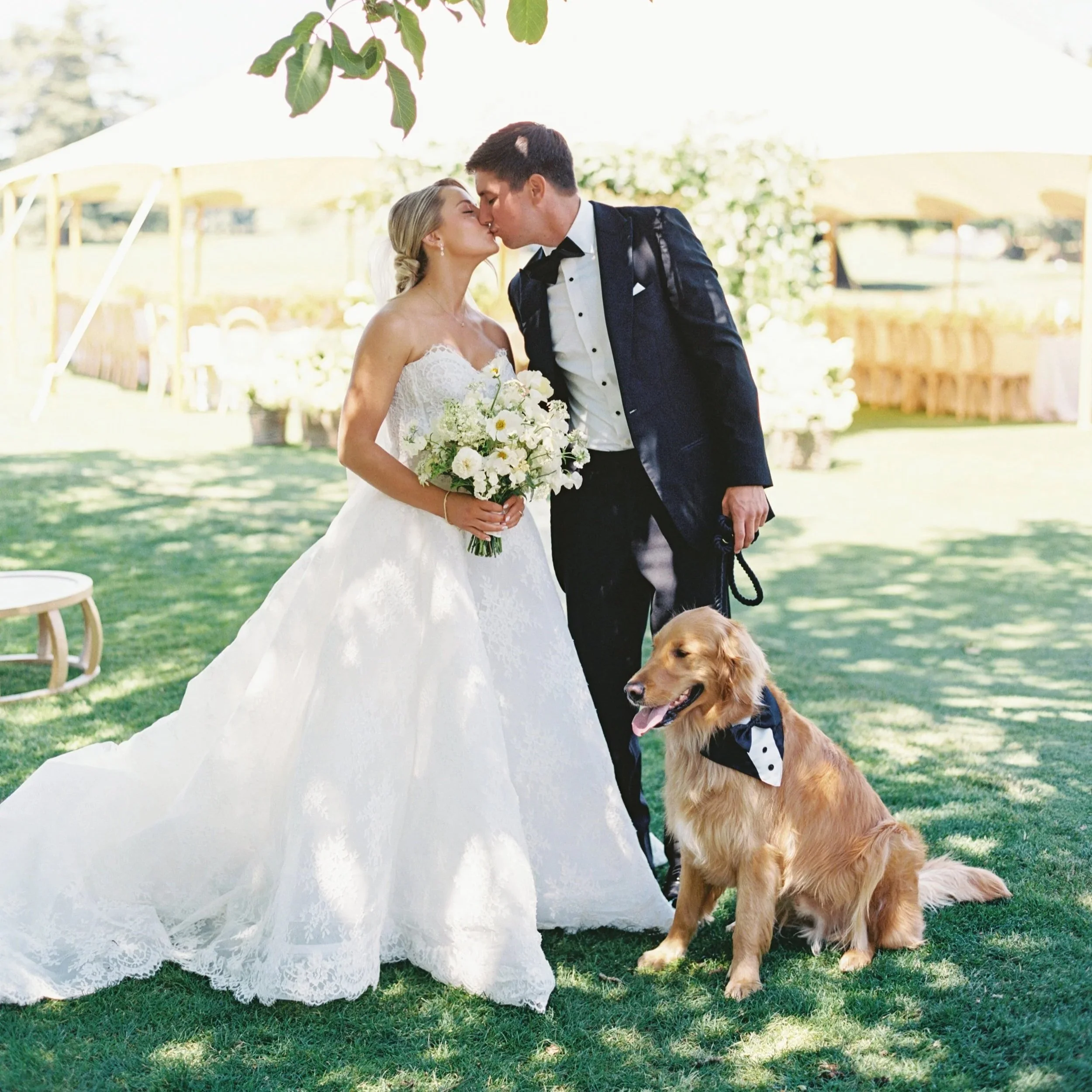 Bride and groom kissing in front of reception tent with their golden retriever, showcasing full-service wedding planning in Oregon.