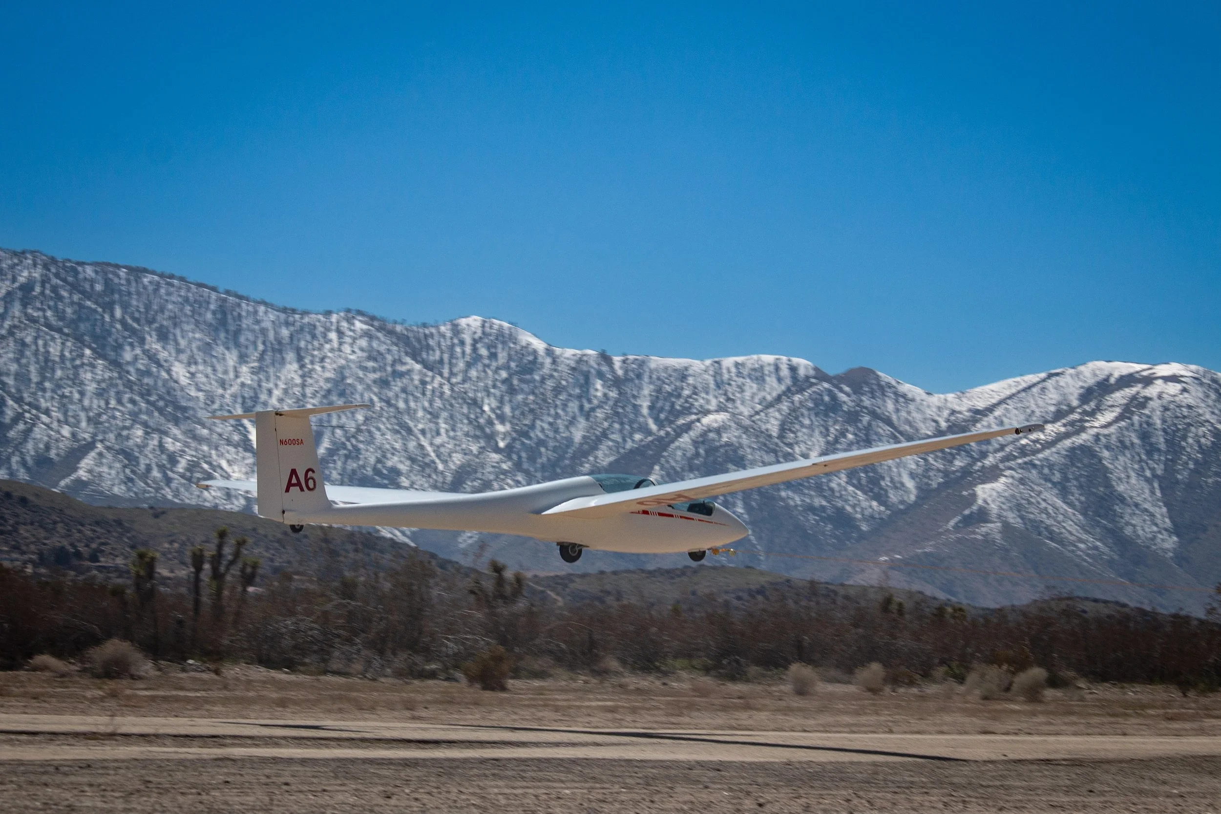 HIDDEN IN PLANE SIGHT