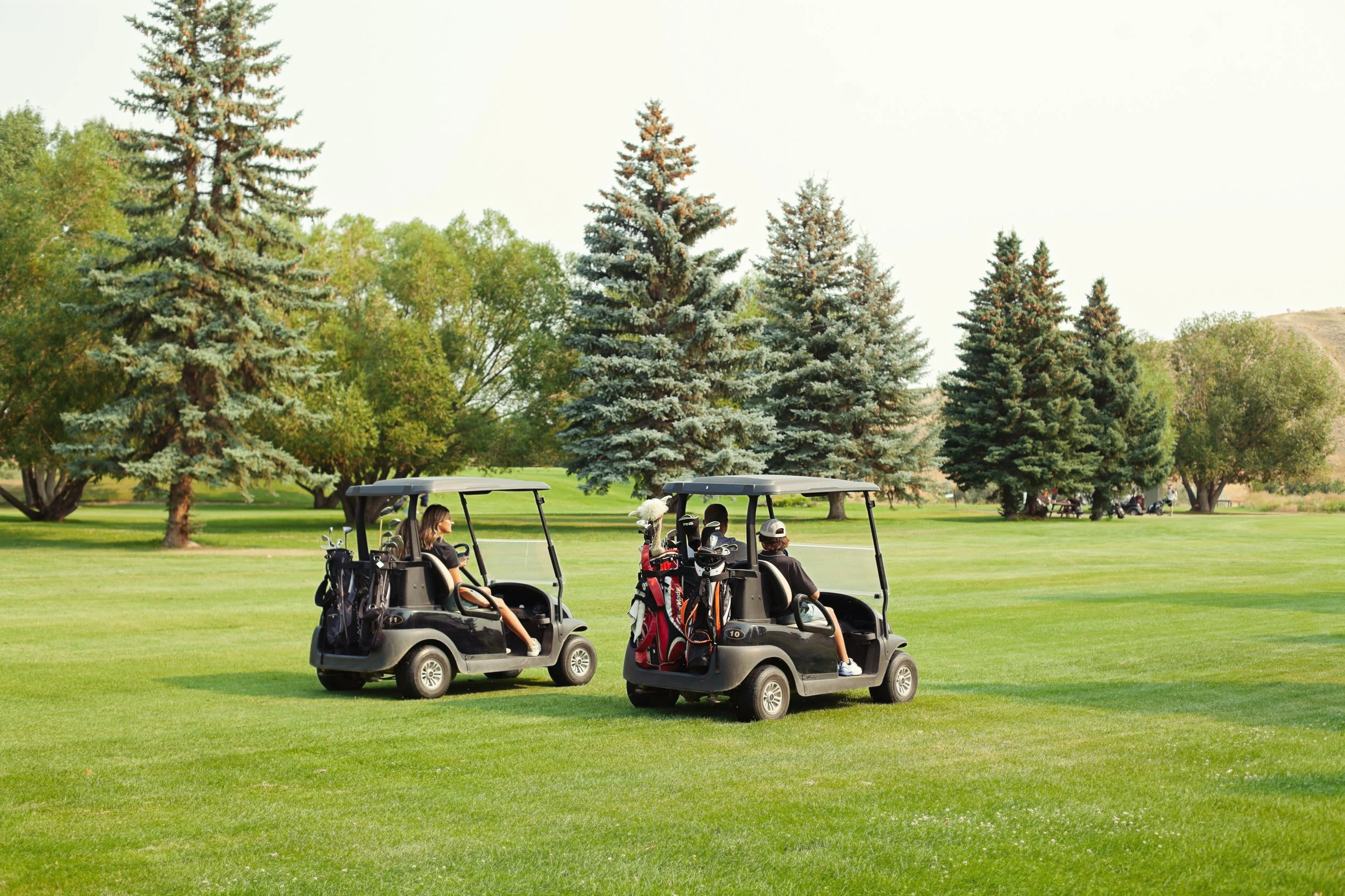 About Paradise Valley Golf Course — Paradise Valley Golf Course