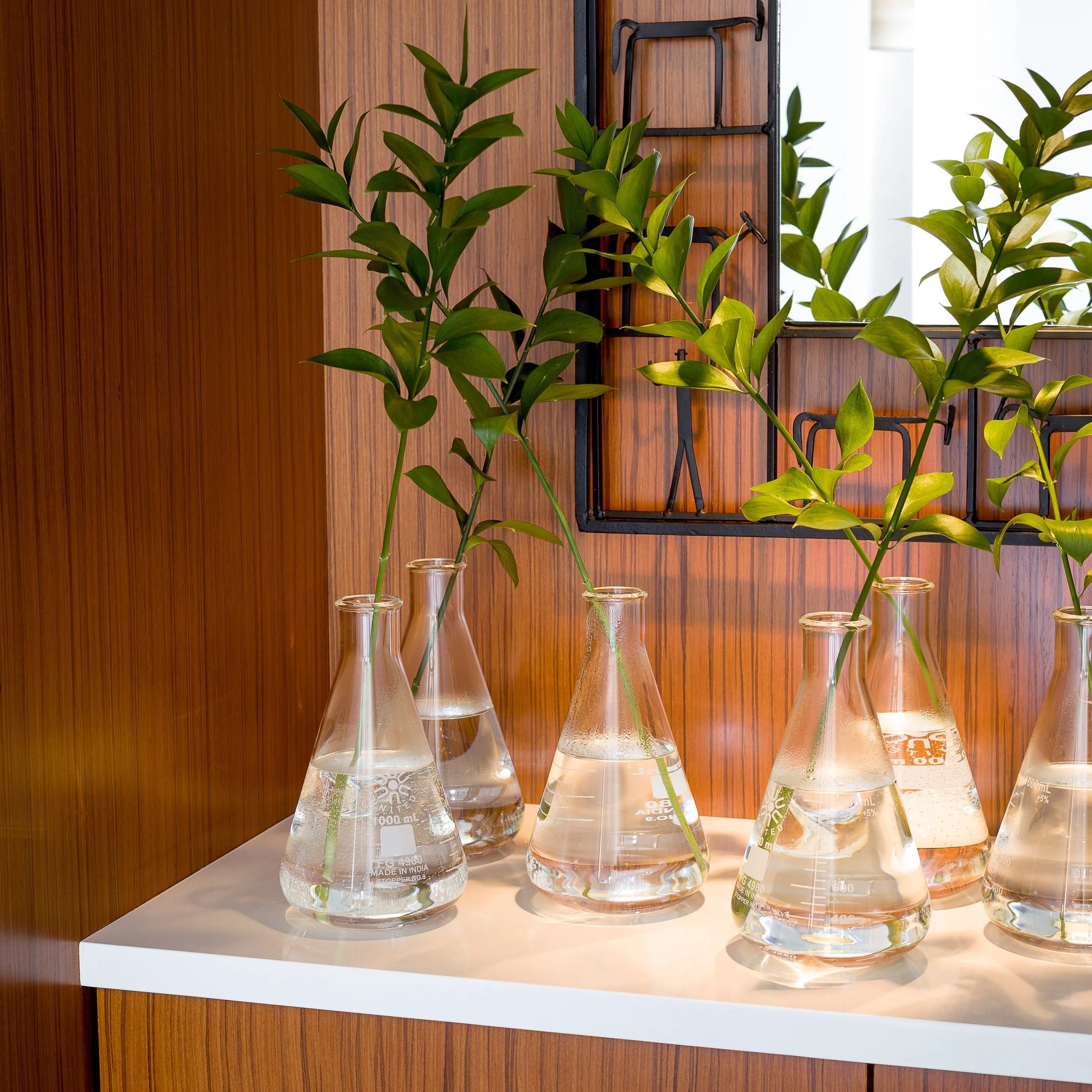 Old Town Mid-Century Modern Penthouse