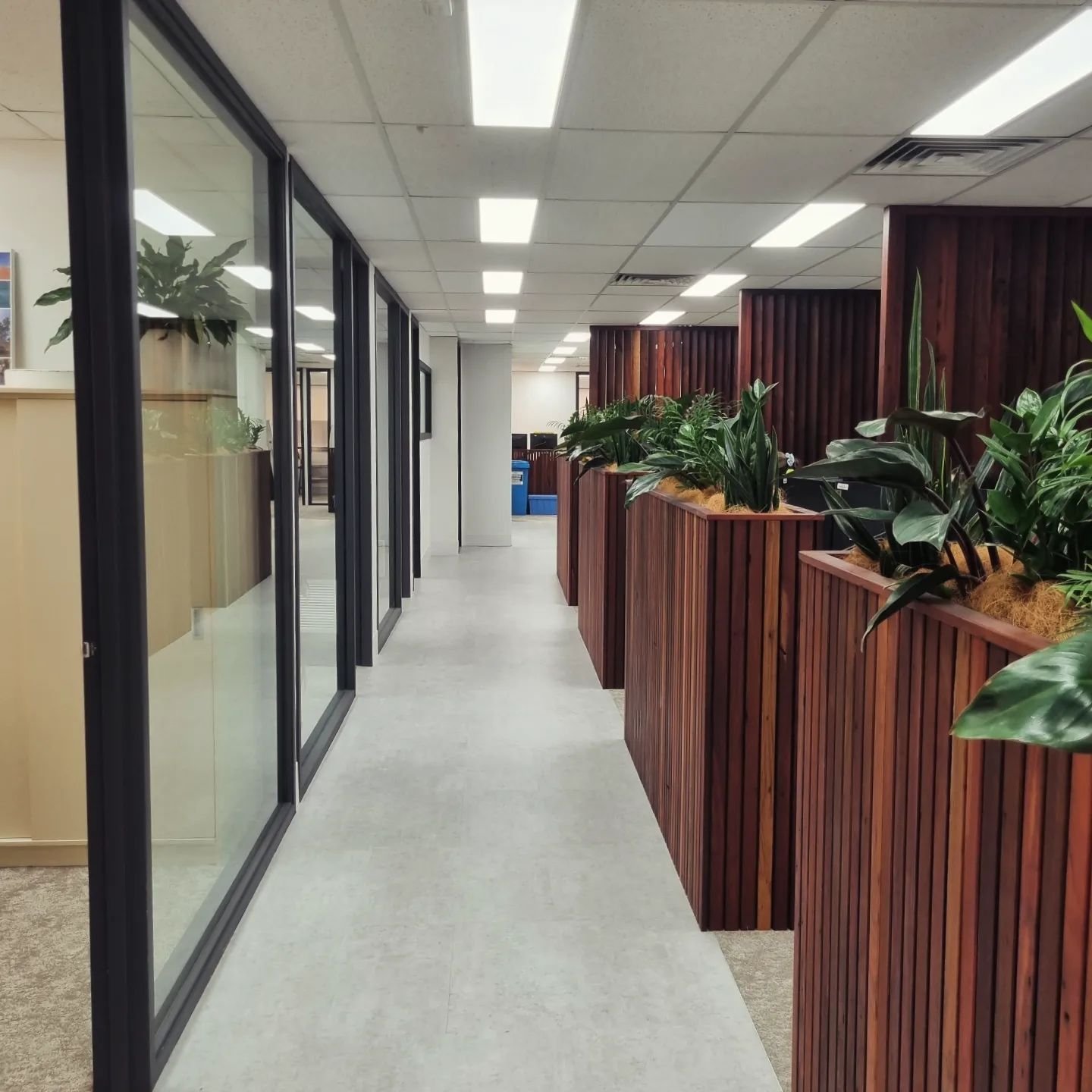 It was such a pleasure to visit this office space that we designed and have watched come together over the last year. The texture, soft colours, and natural elements make for a calm and inviting interiors. We are so happy with how  this commercial pr