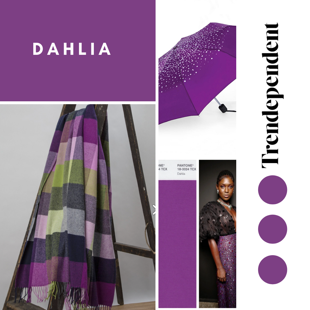 Color Studies From Spring 2022 - Dahlia