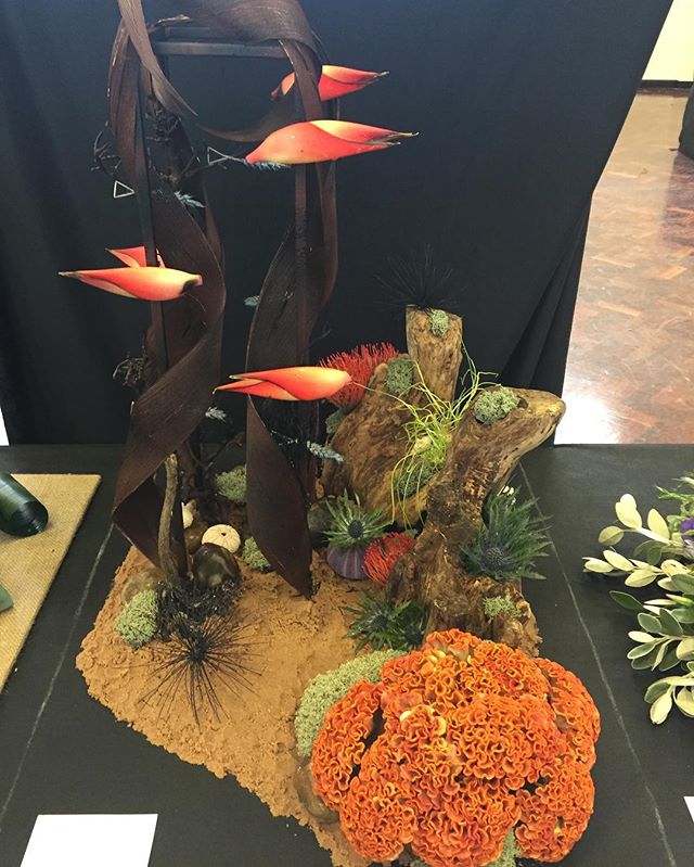#floralart #artfloral #competition #firstprizewinner #frenchtouchfloristry