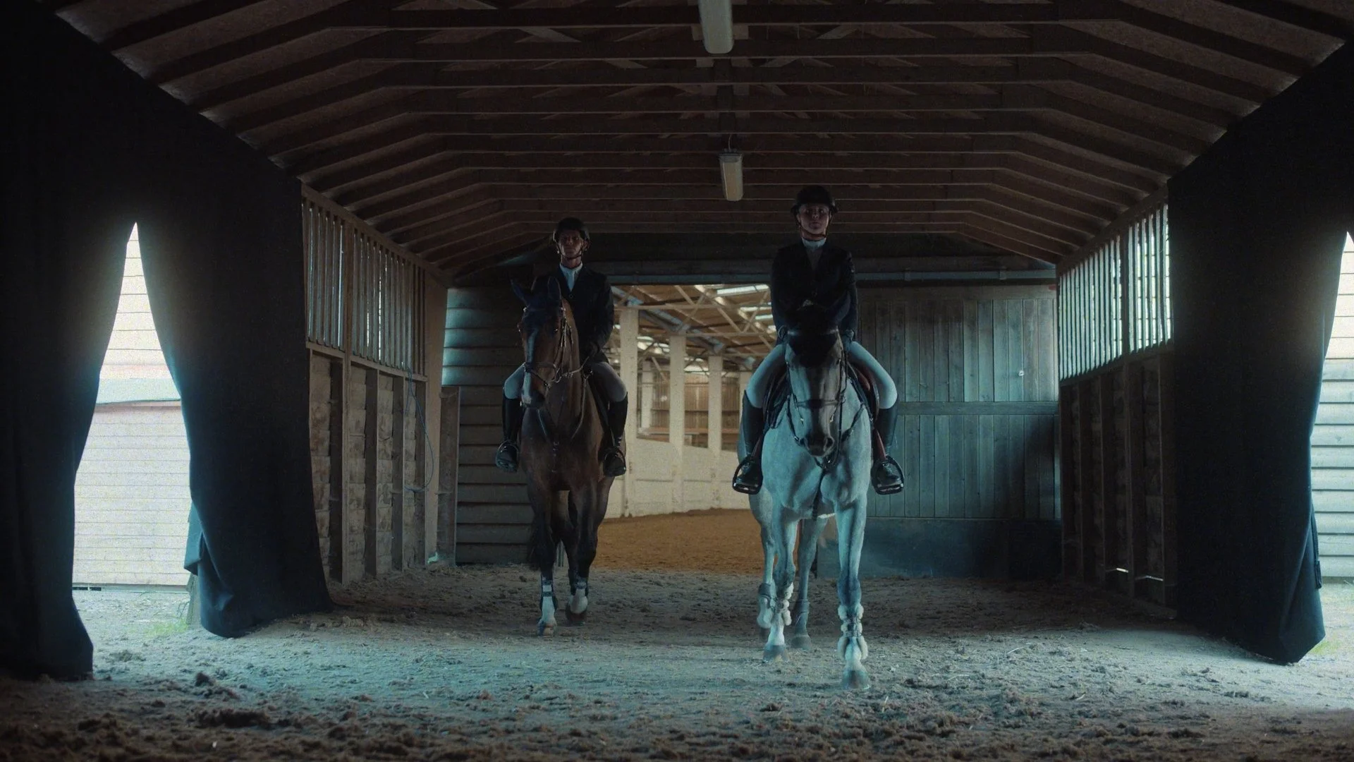 Horse FEI_1.1.1.jpg