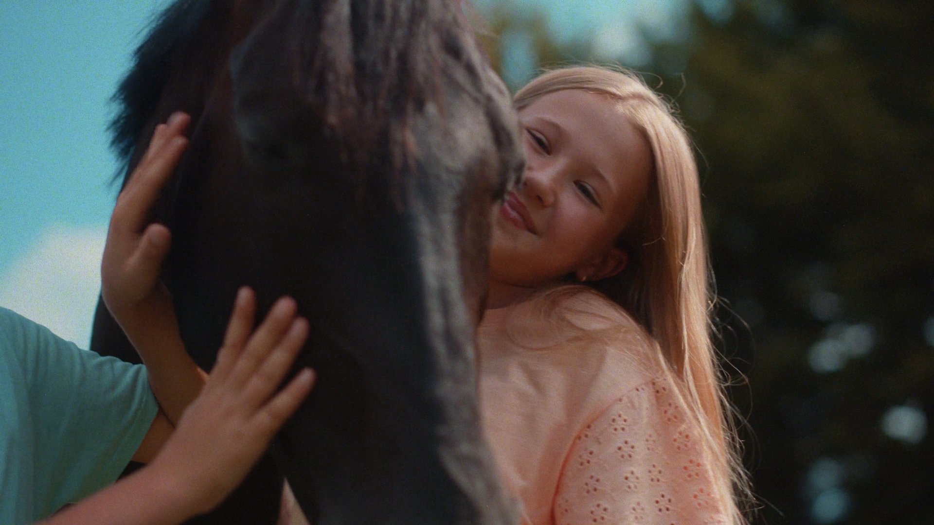 Horse FEI_1.1.3.jpg