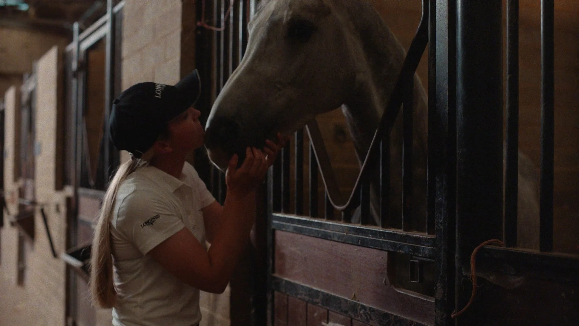 Horse FEI_1.1.5.jpg