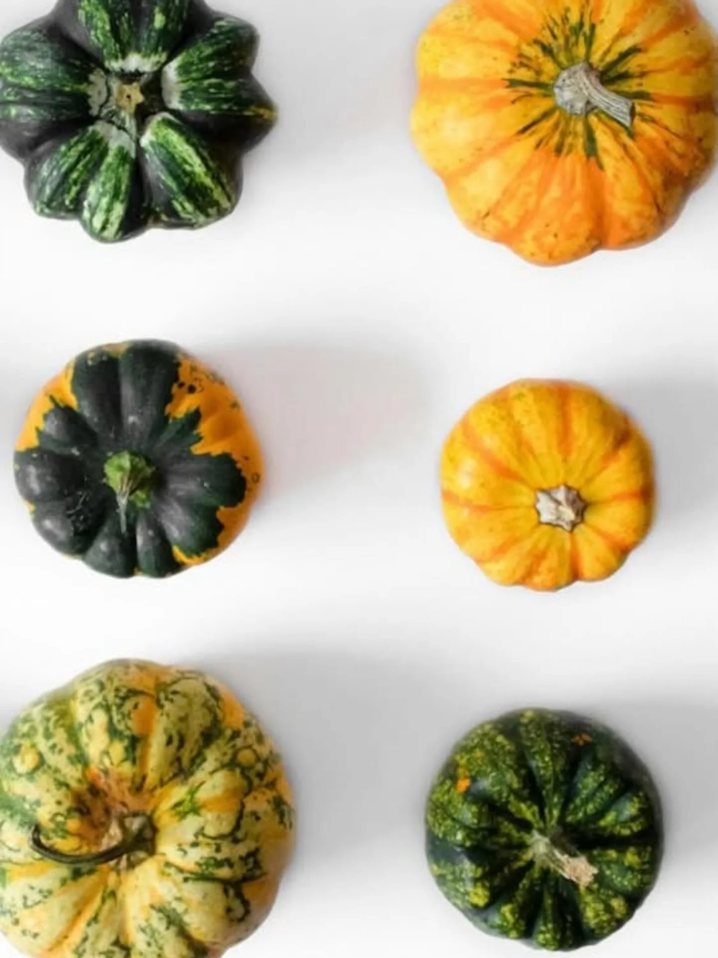 Happy Thanksgiving from Line Leader Pediatric Therapy!
Today we&rsquo;re reflecting with so much gratitude&mdash;for the amazing children we get to serve, the families who trust us, the dedicated team members who pour their hearts into every session,