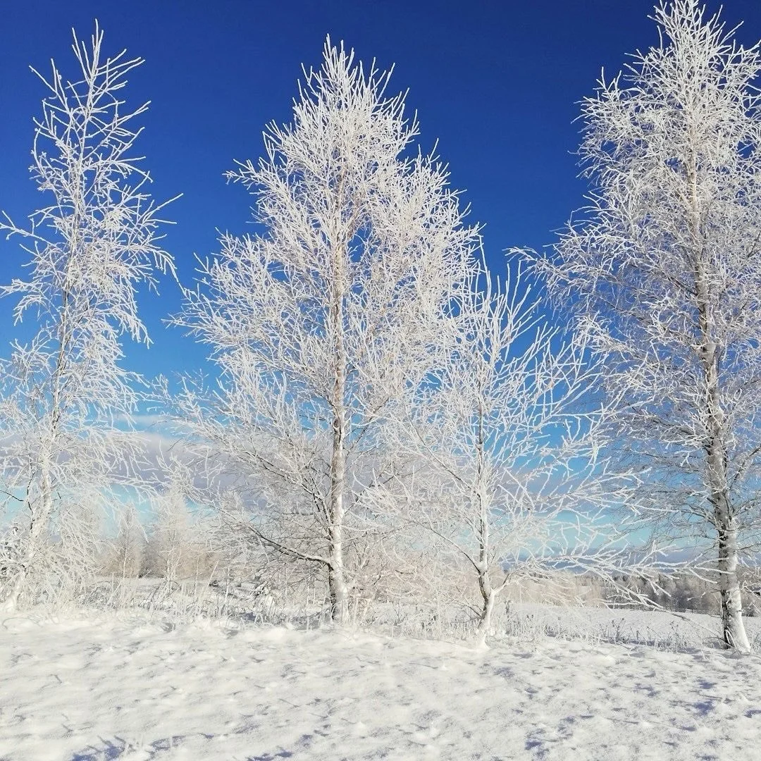 Wishing you a season filled with warmth, light, and connection.
As we move through this special time of year, we&rsquo;re grateful for every child, caregiver, and community member who makes Line Leader Pediatric Therapy what it is.
May the days ahead