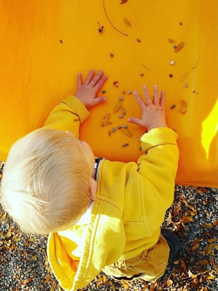 Is your child&hellip; 
🔹 Not saying as many words as expected? 
🔹 Hard for others to understand? 
🔹 Frustrated when they can&rsquo;t communicate? 
These are signs early speech therapy can help. At Line Leader Pediatric Therapy, we make it fun, eff