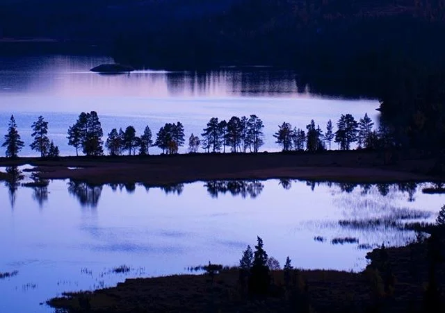 Foto: Espen Grønli