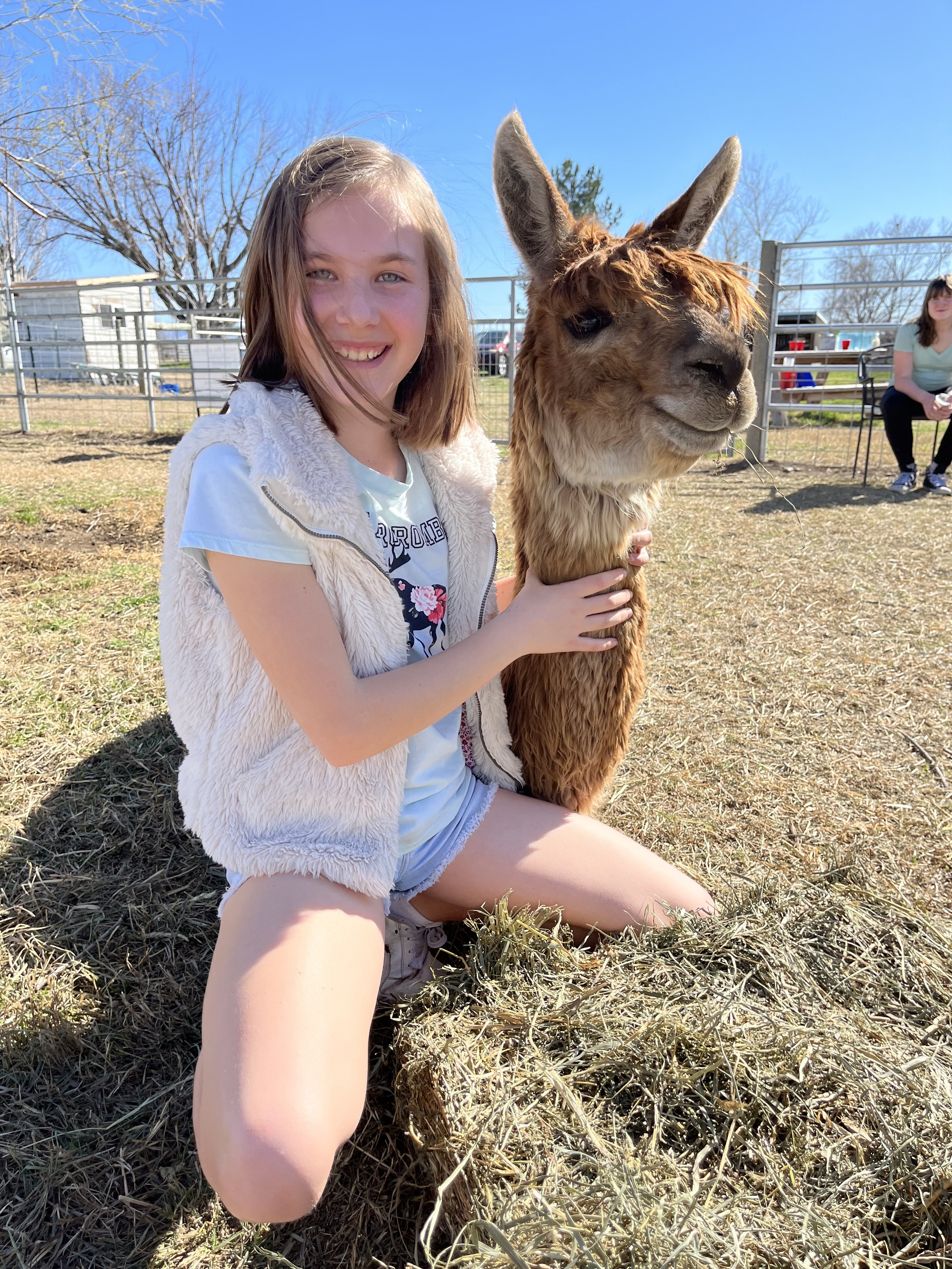 a young girl hugging an alpaca