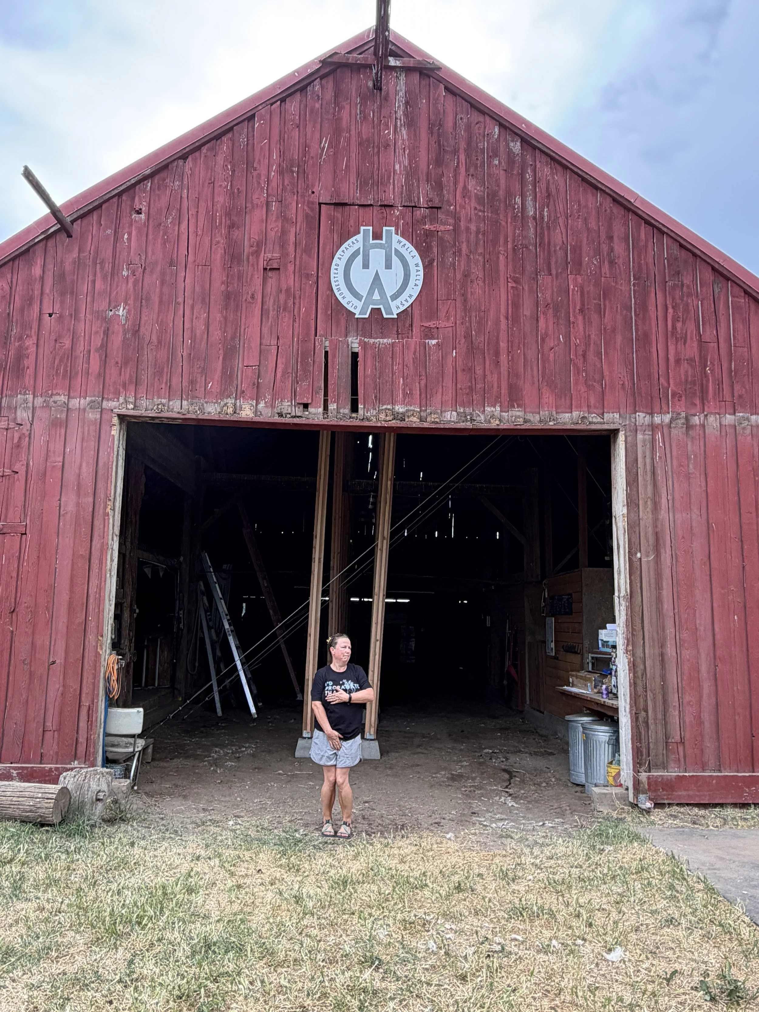 A person standing in front of an old red barn with an open entrance, inside the barn there are wooden beams and tools. The person is wearing a black T-shirt and shorts, looking to the side. The barn has a sign with a logo and some grass and dirt in the foreground.
