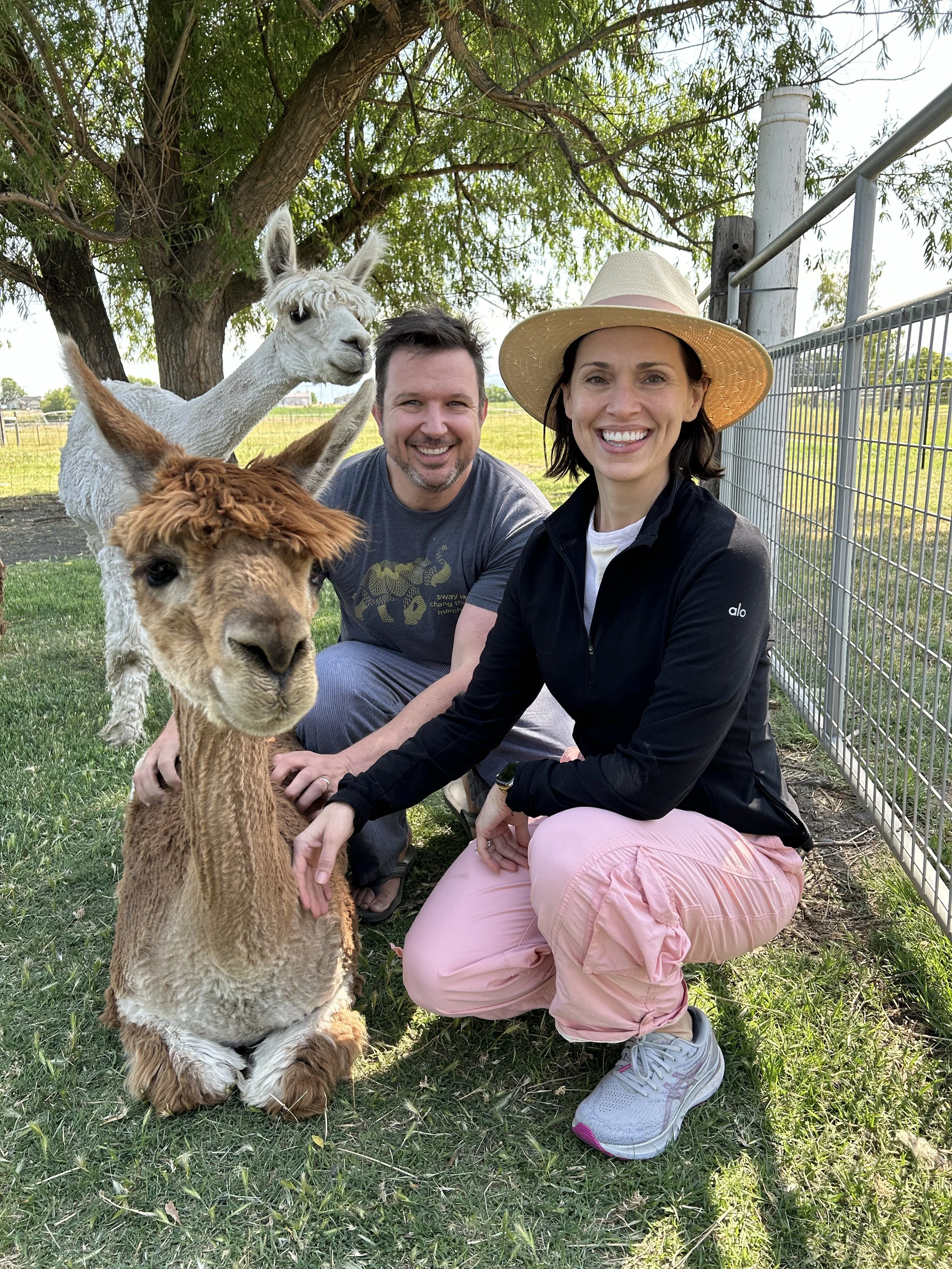 Smiling woman wearing a wide-brimmed hat and a black jacket kneels next to a young brown alpaca, with a man kneeling behind them, near two other llamas, on a grassy farm field under a tree.