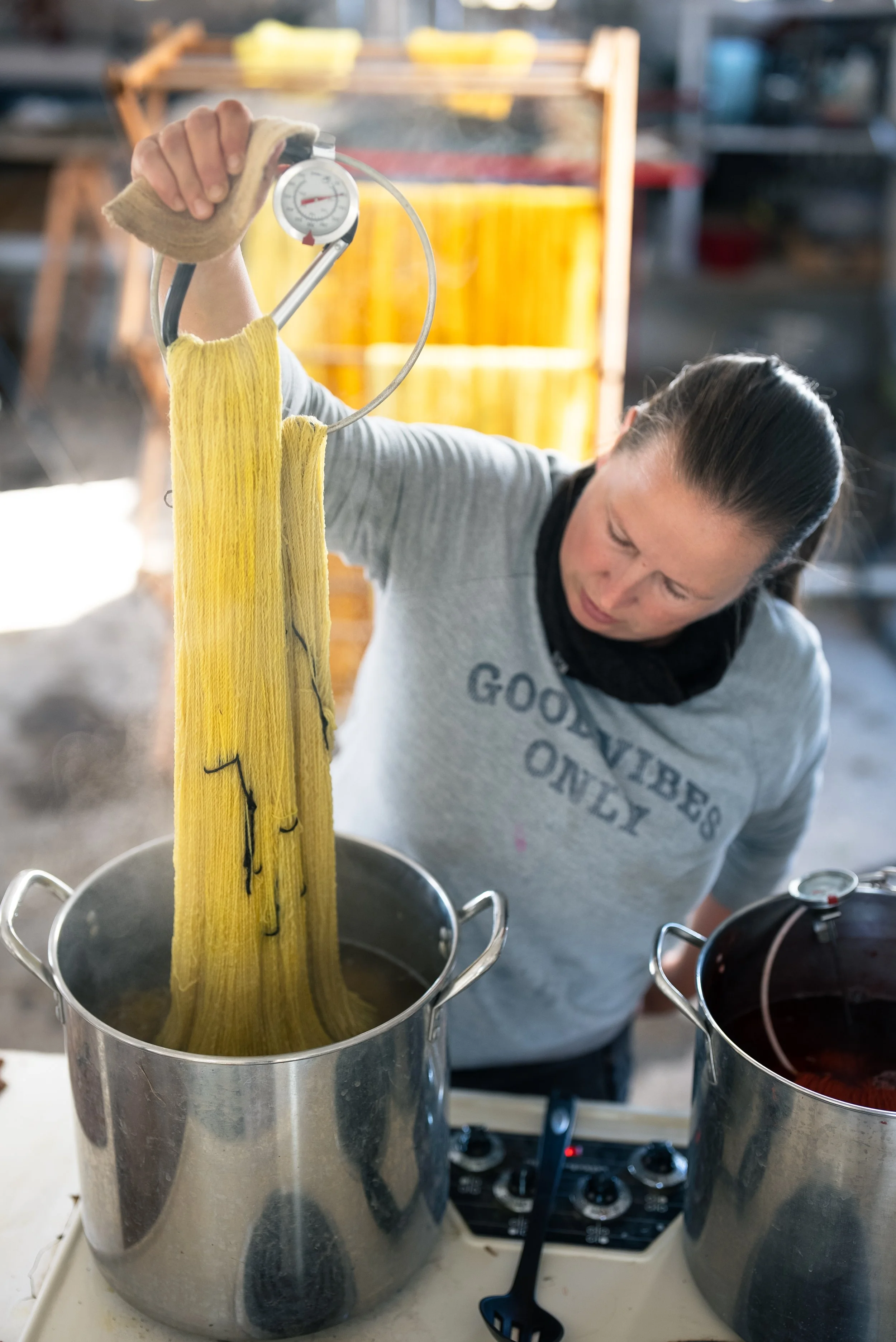 OldHomesteadAlpacas-3 2.JPG