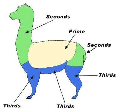 an outline image of an alpaca showing the different areas and types of fiber