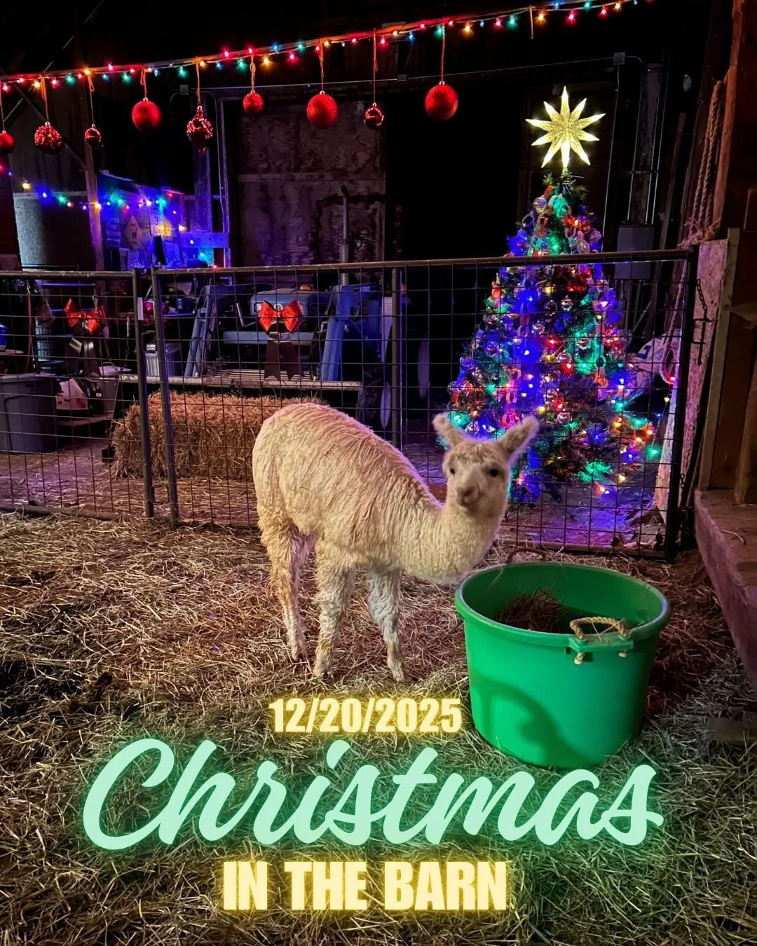 Christmas.jpg