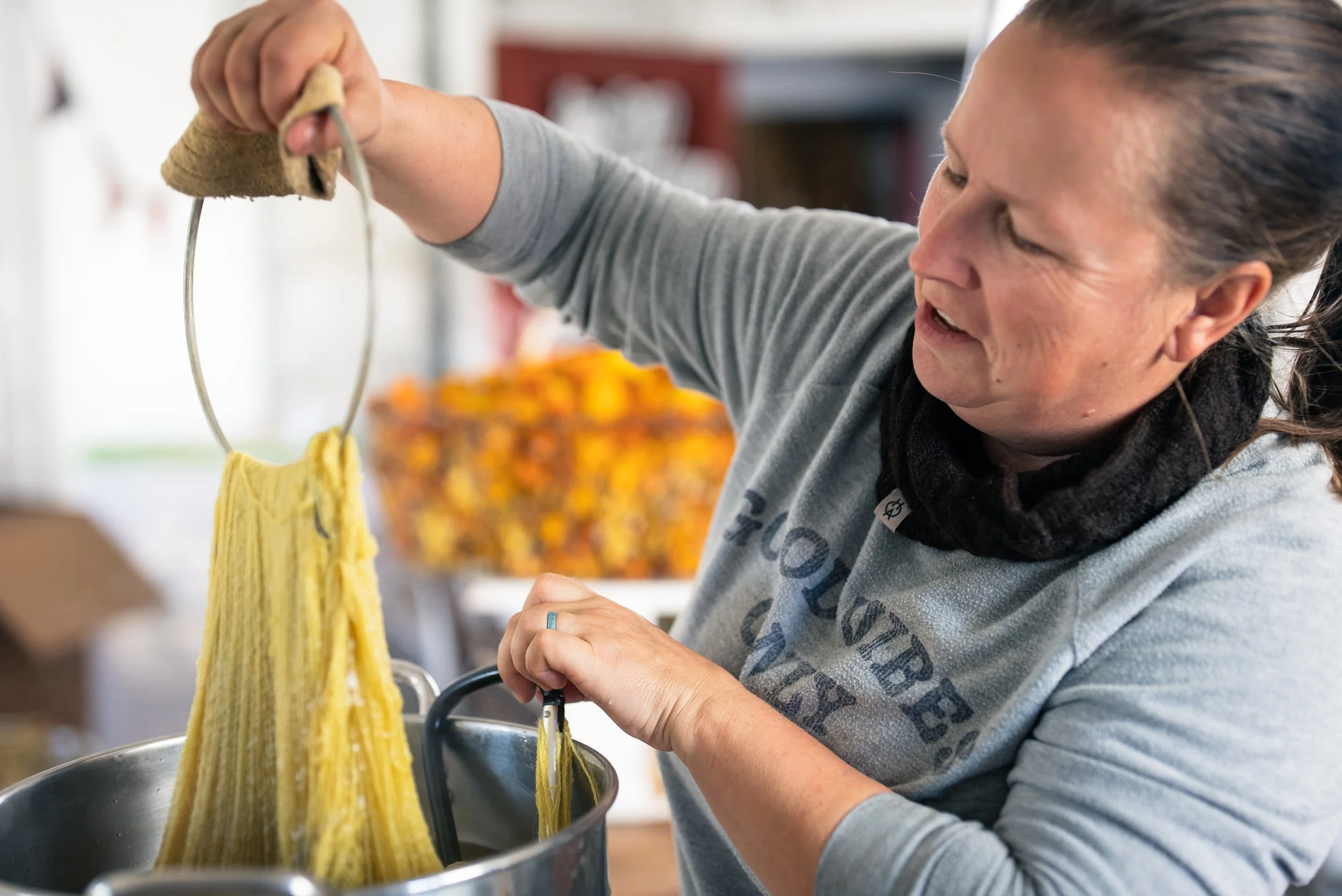 OldHomesteadAlpacas-4 2.JPG