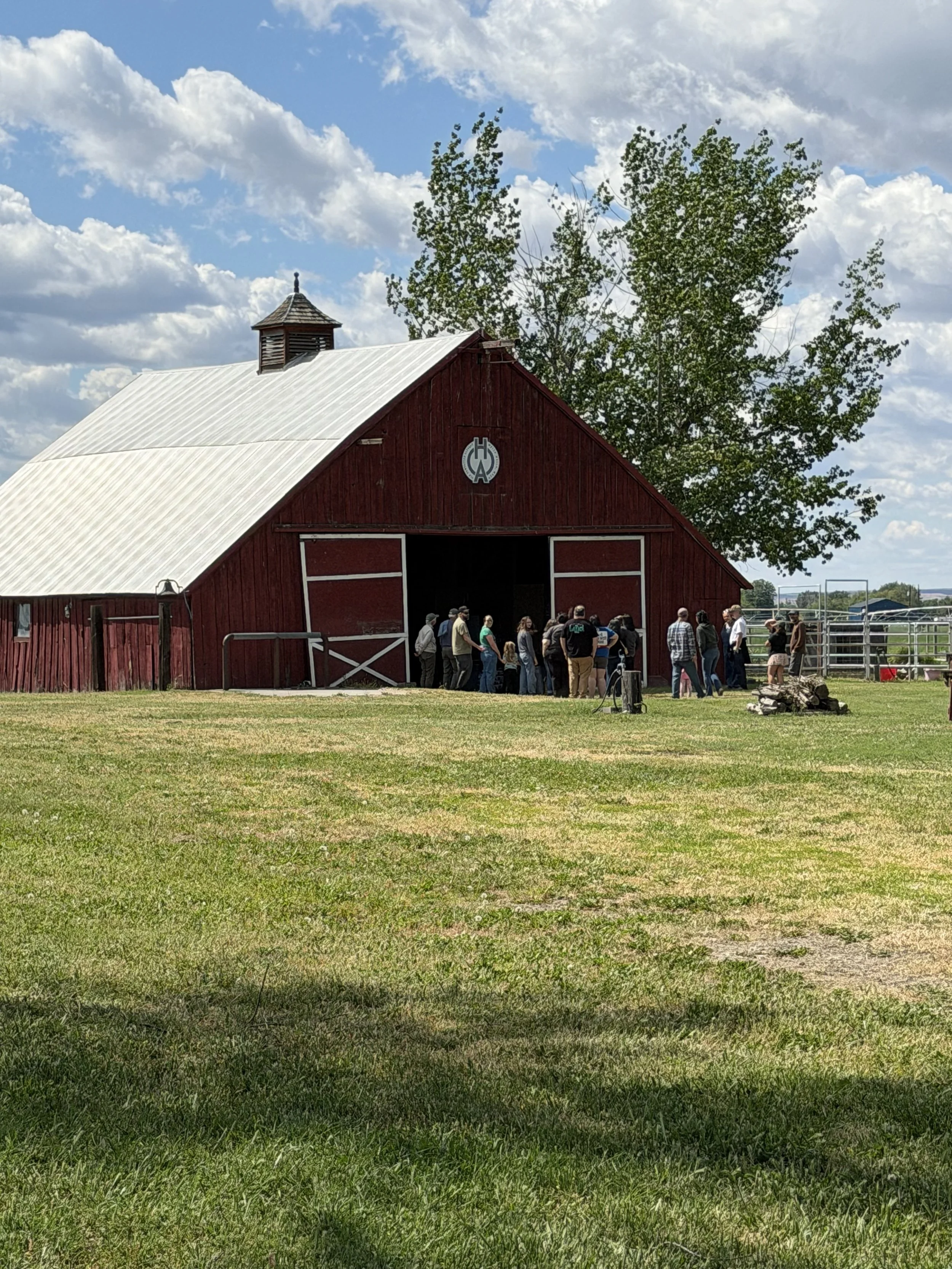 A red barn with a white roof and a small cupola on top, surrounded by a green grassy field and a group of people gathered in front, with a large tree and a cloudy sky in the background.