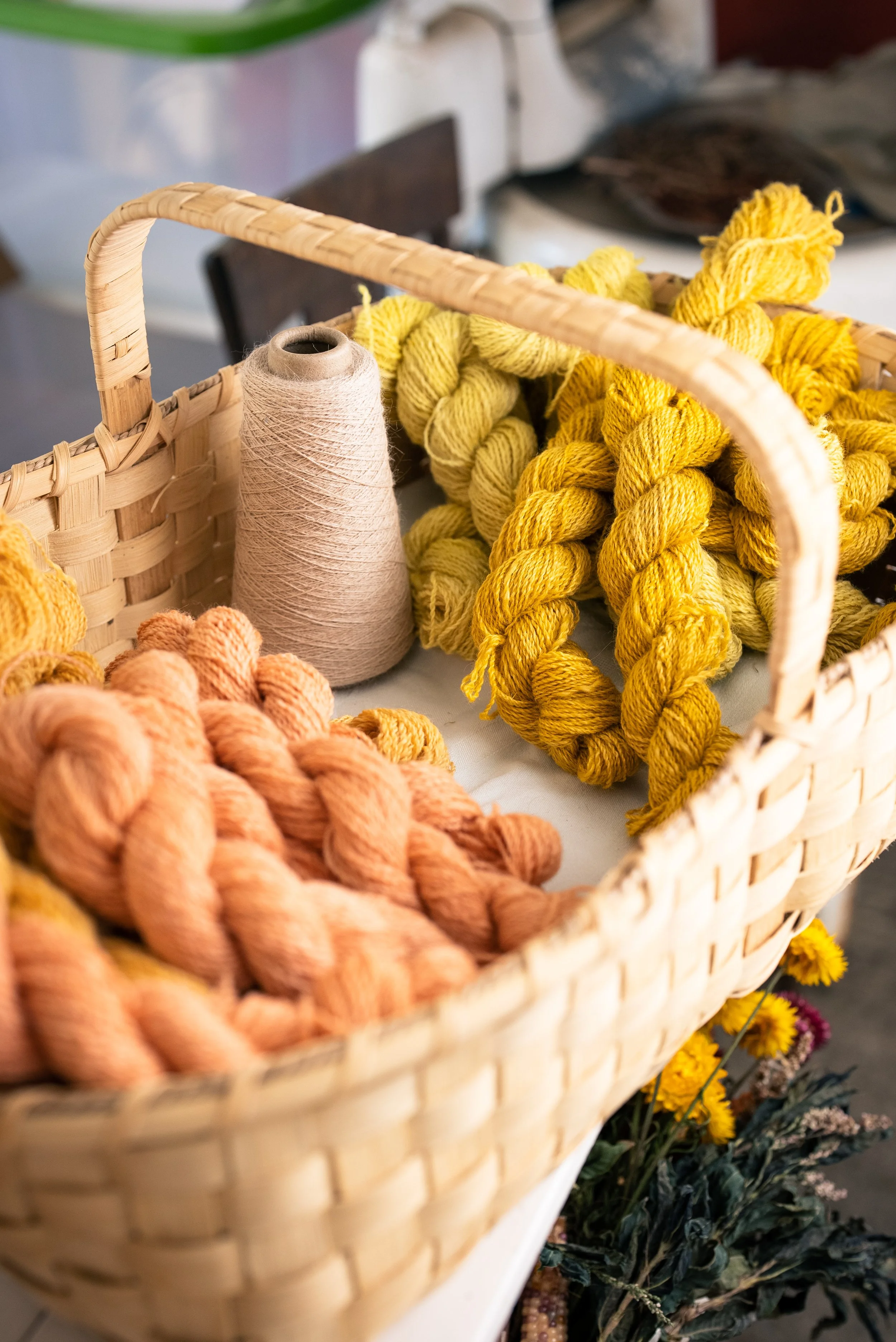 OldHomesteadAlpacas 2.JPG