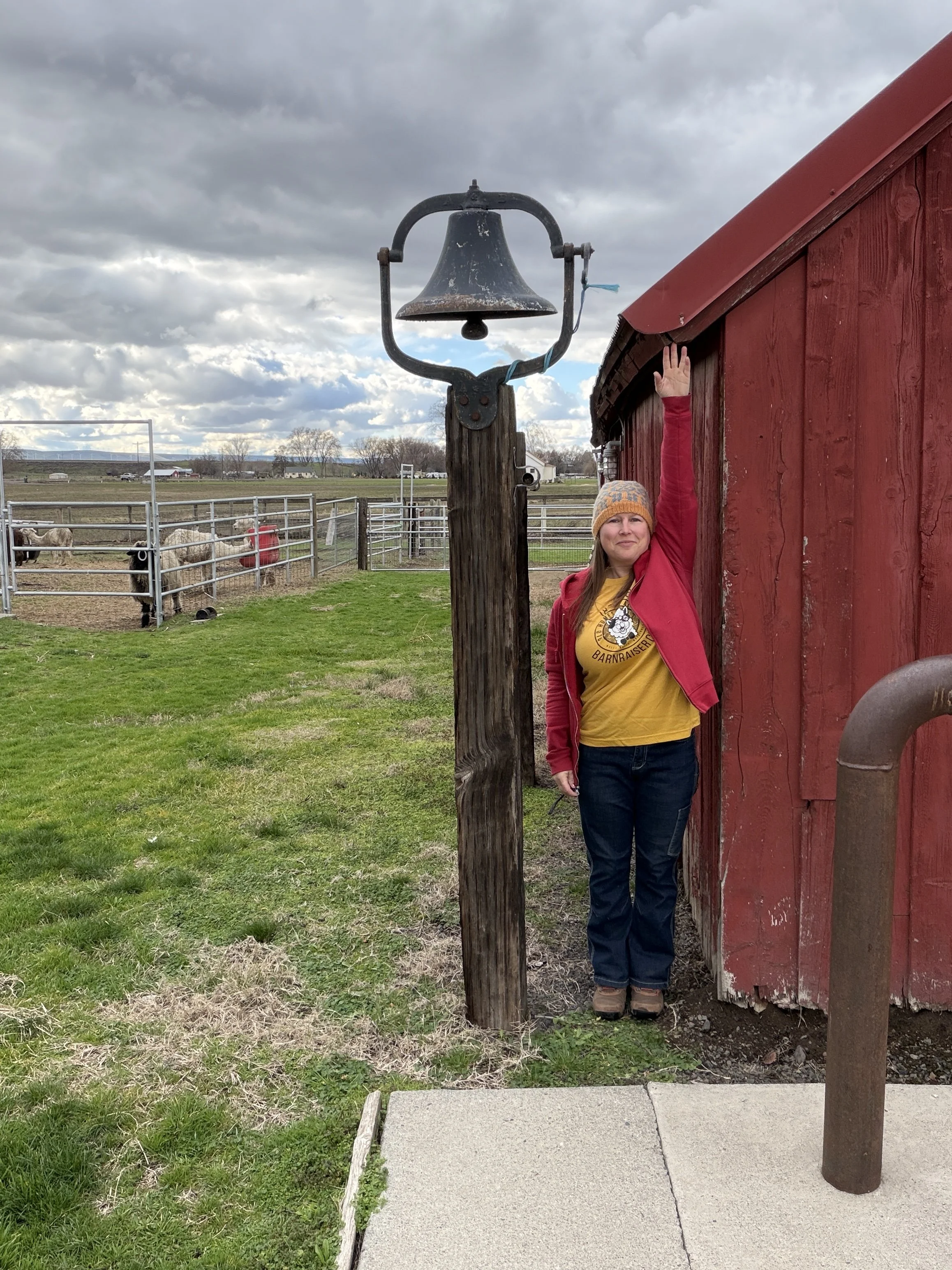A woman with long brown hair, wearing a yellow shirt, red jacket, and a knitted hat, stands next to a red wooden building, touching the edge of the roof with her right hand. There is a bell mounted on a wooden post and a railroad track with fences and cows in the background on a cloudy day.