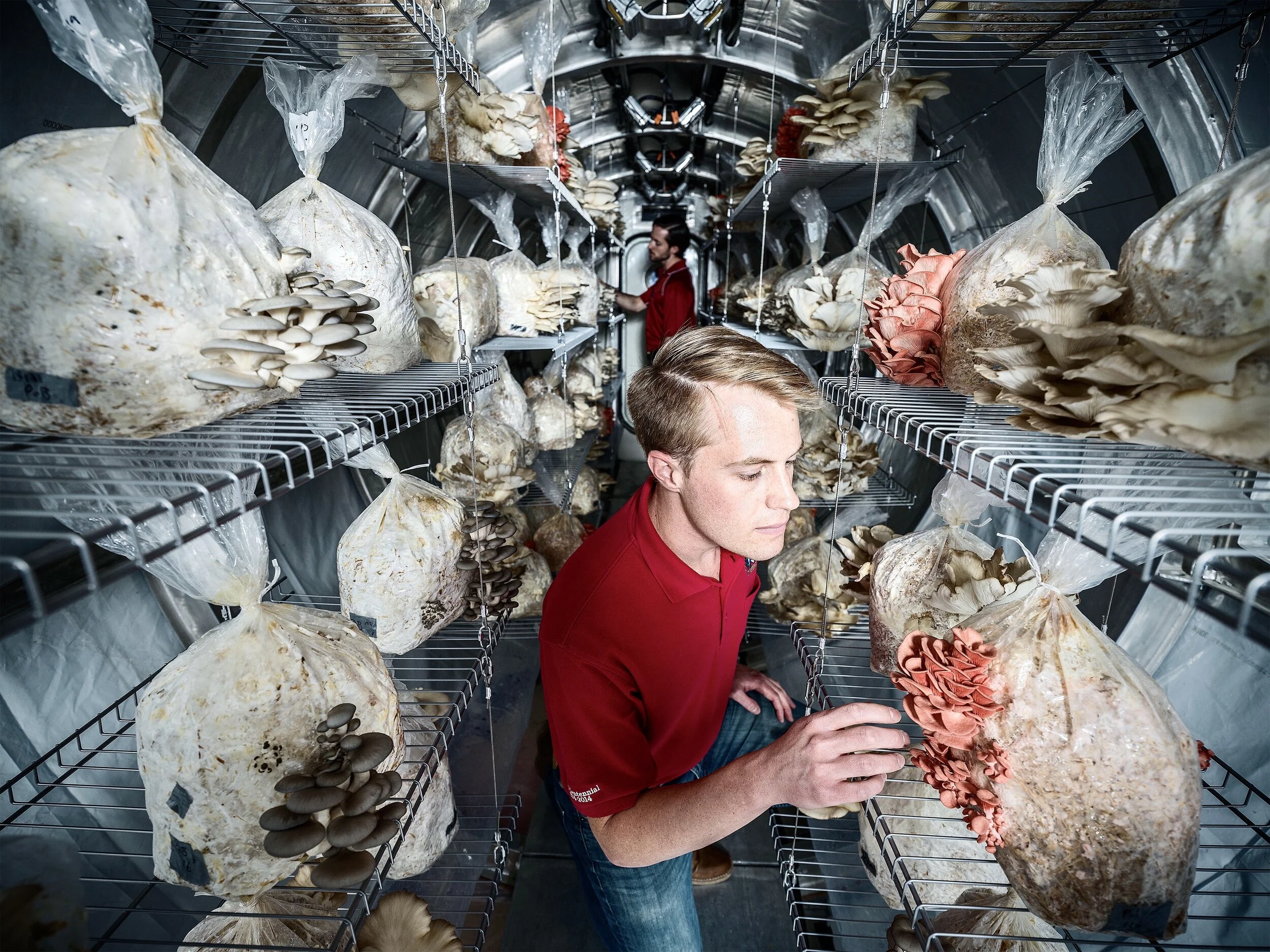 Mushrooms for Mars; University  of Arizona
