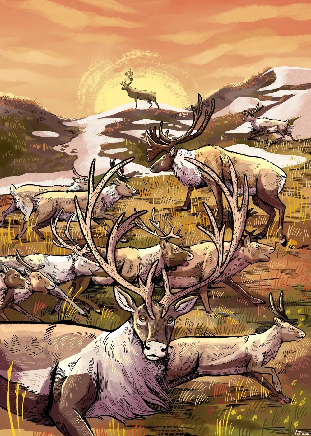 image-asset (1).webp