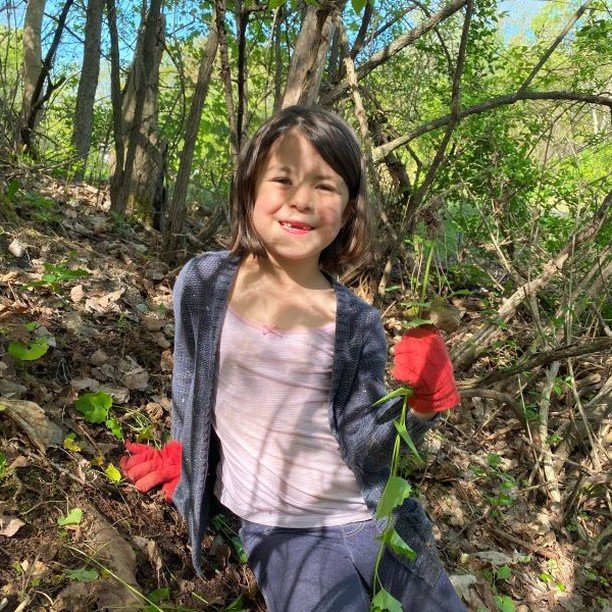 Wanna give back to Mother Earth this Earth Week?

Join MALT on Wednesday for our annual invasive workday at Otter View Park!

Every year, MALT gathers a hardy group of volunteers to prune back the invasive plants of Otter View Park. Garlic mustard, b