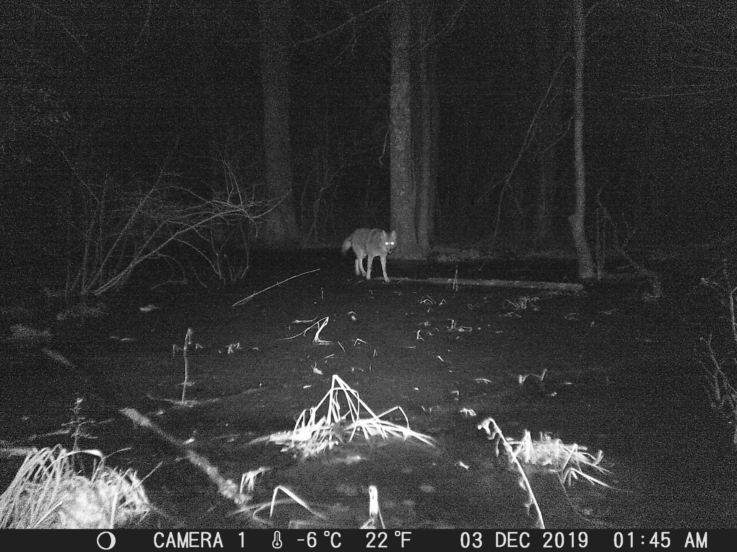 Trail Camera Workshop with VT Fish and Wildlife