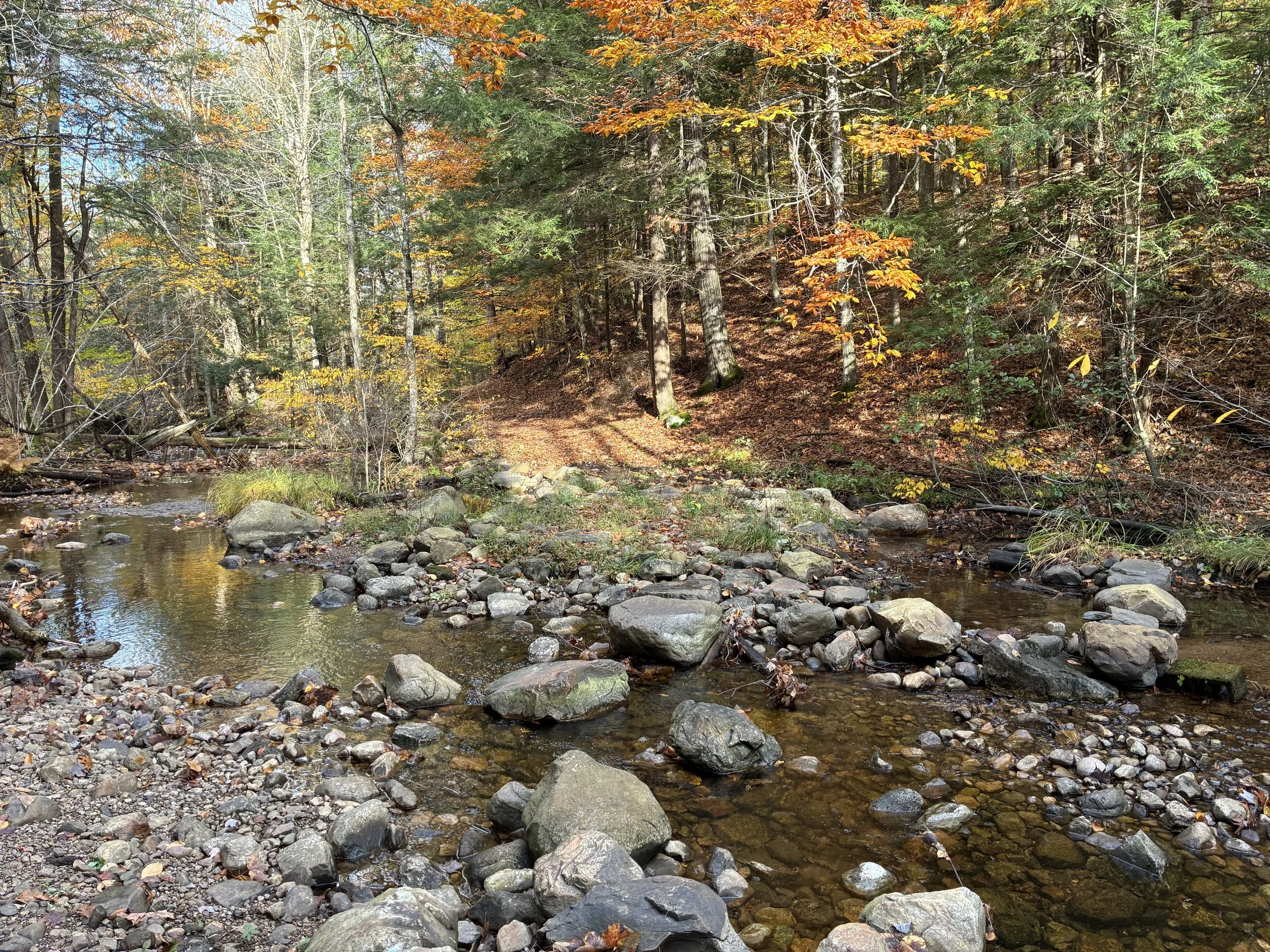 Salisbury Mills Family Full Moon Hike