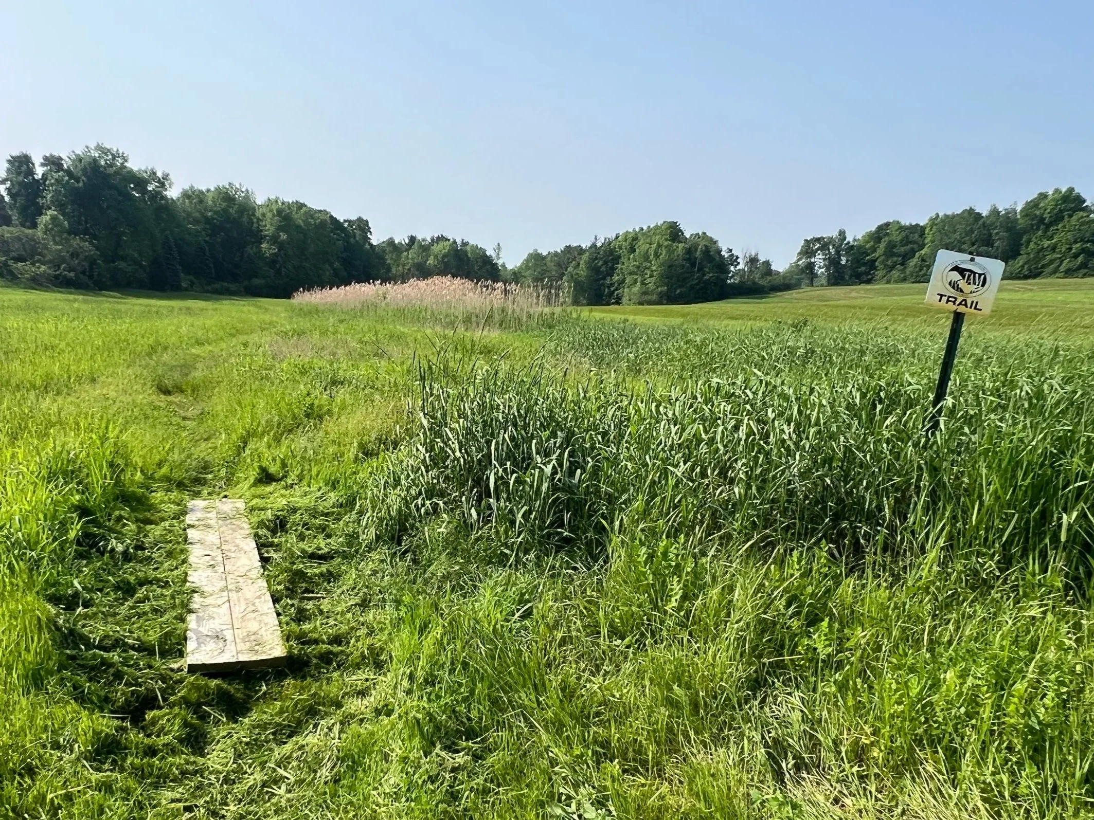 MALT Meet &amp; Mingle #1: The Where, Why and How of Conservation with MALT