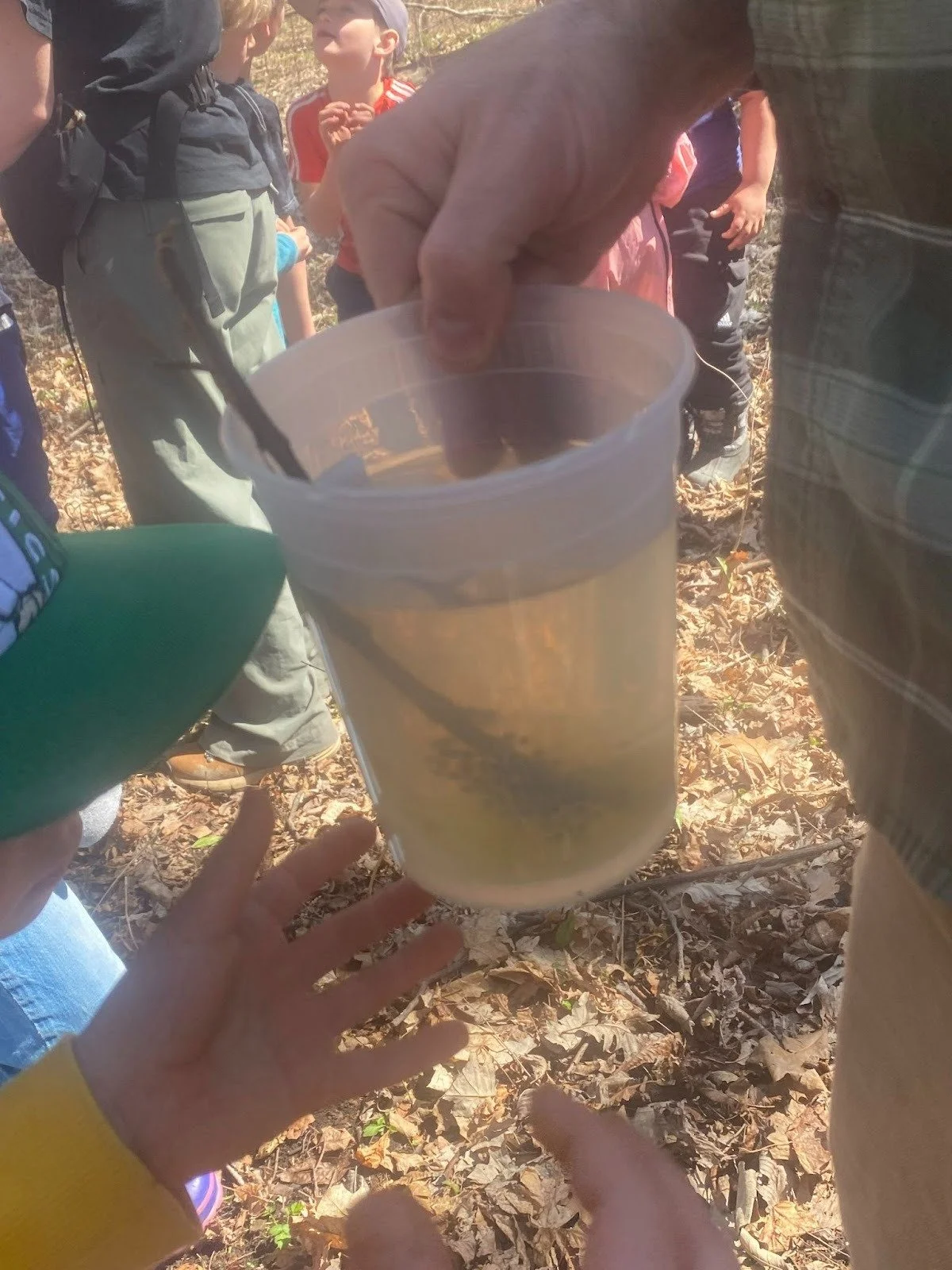 Vernal Pool Walk with Andrew L'Roe