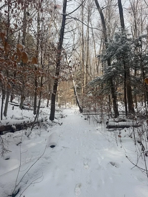 Introduction to Maple Sugaring with County Forester, Mark R. 