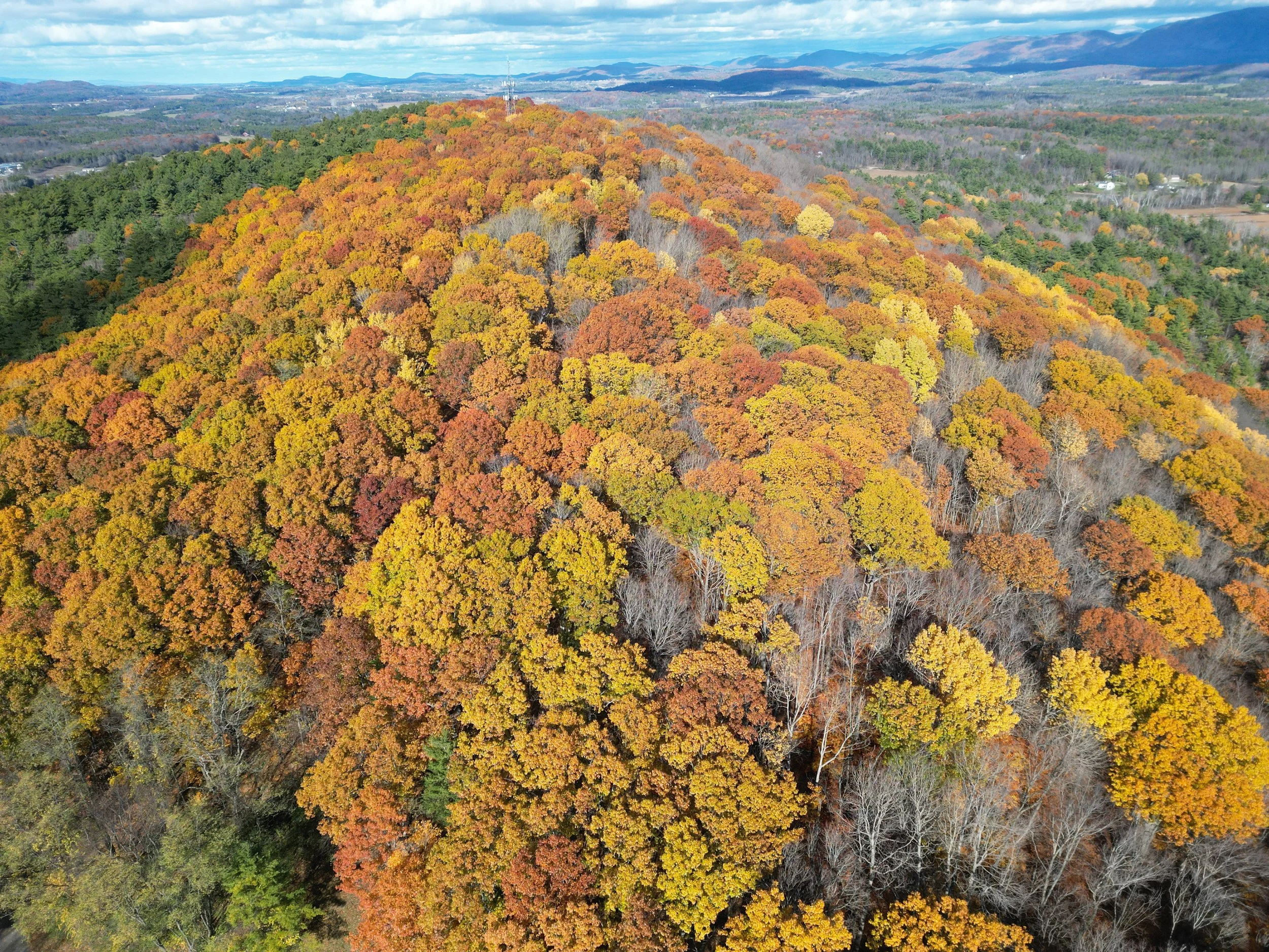 Chipman_Fall by Andrew.JPG