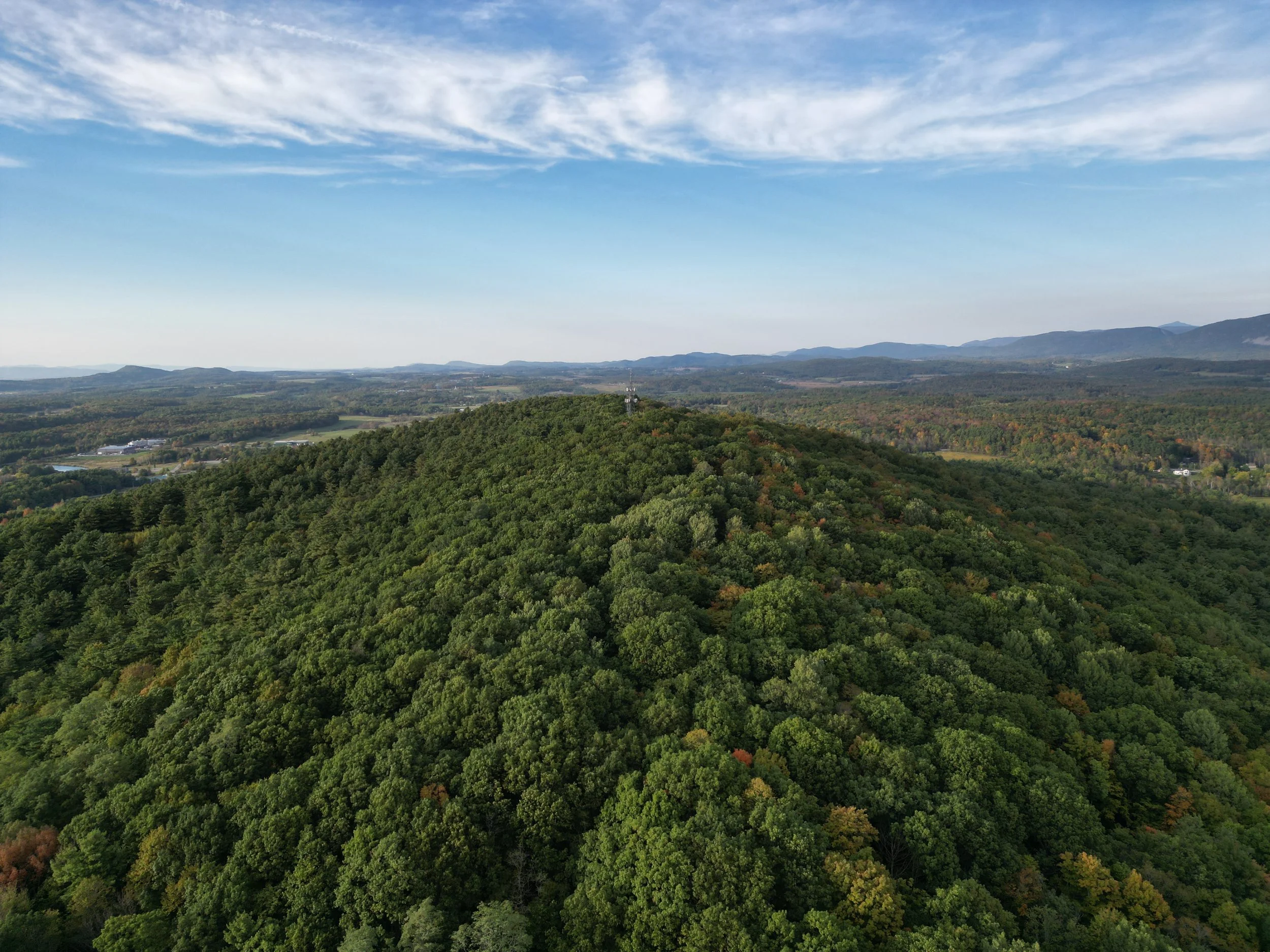 Chipman_Green by Andrew.JPG