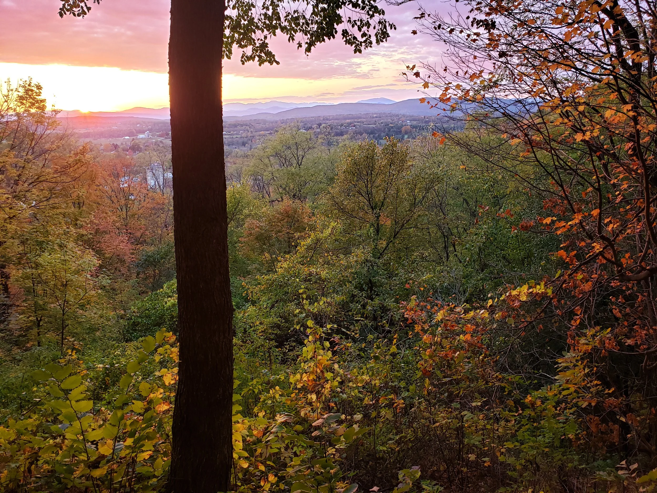 20201012 Chipman view from old ski jump.jpg