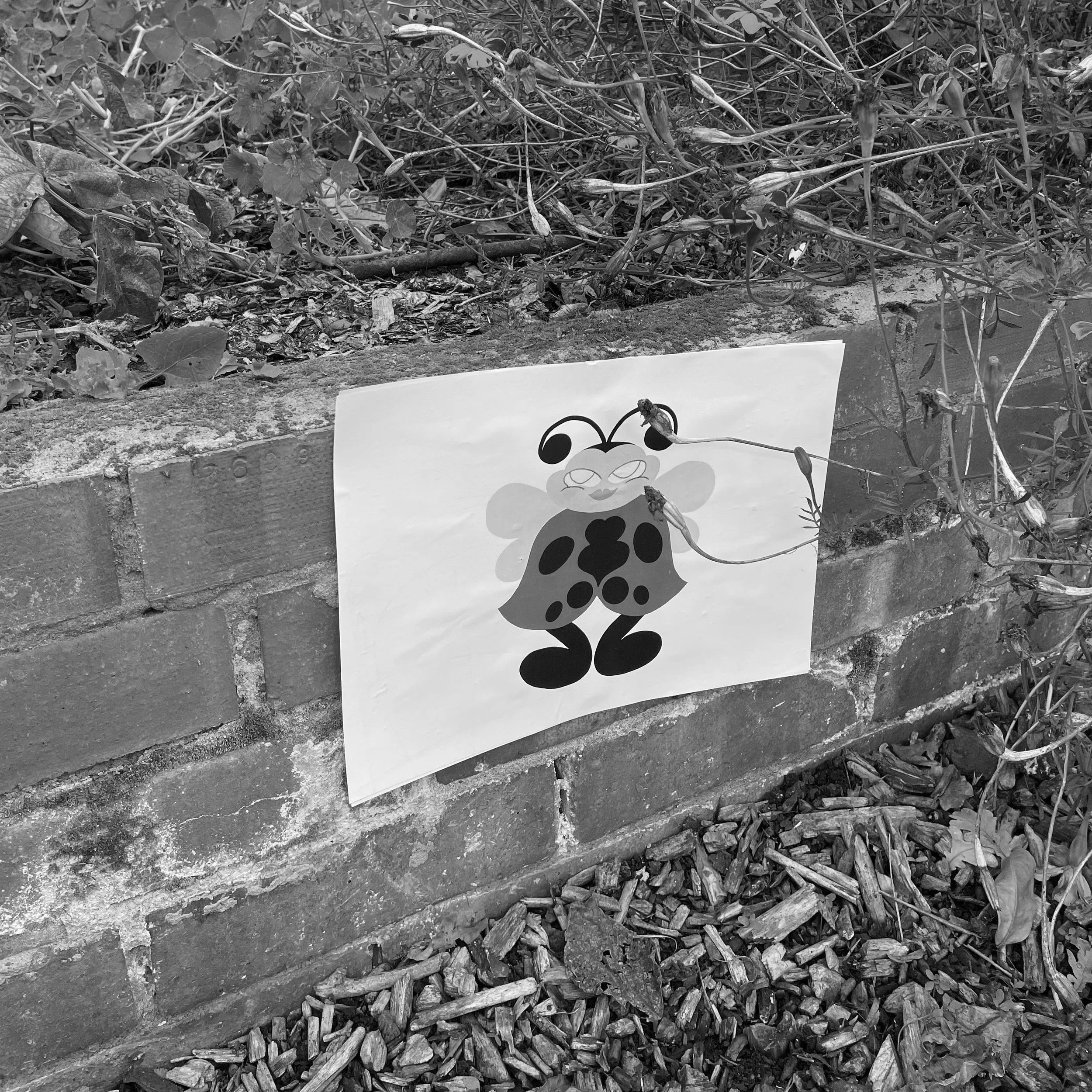Who's Hibernating?