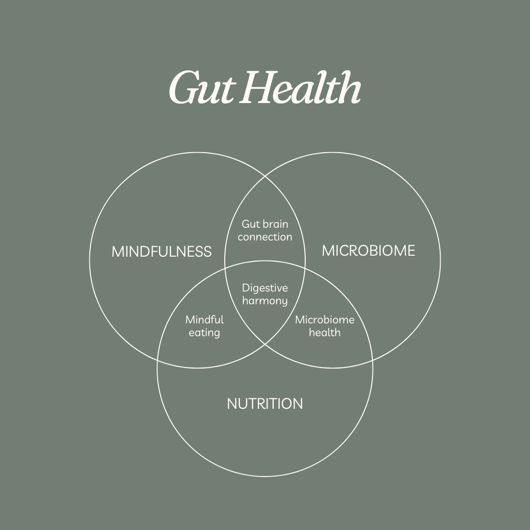 Copy gut of Nutrition Coach - Square.png