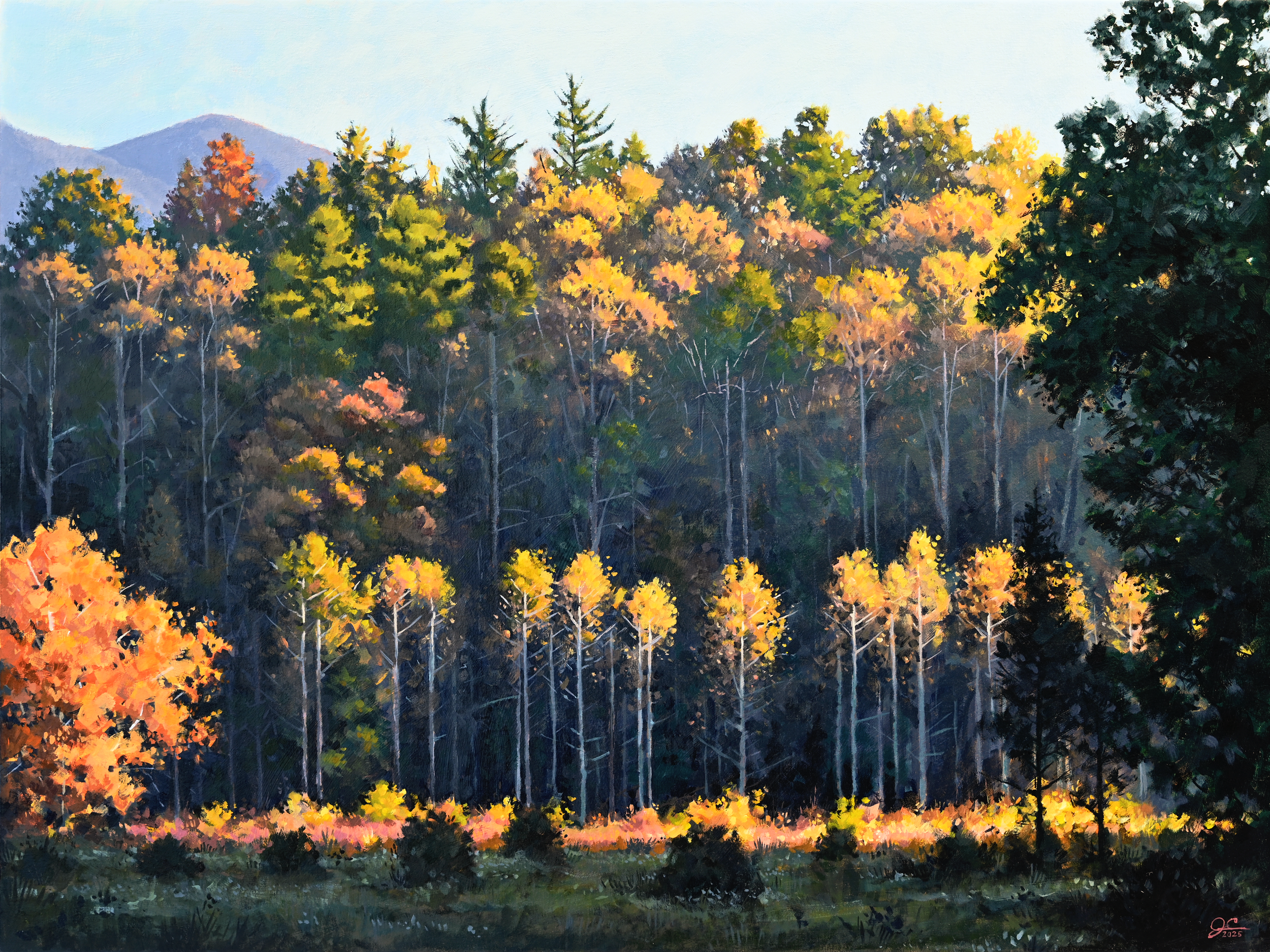 Cades Cove Sunset