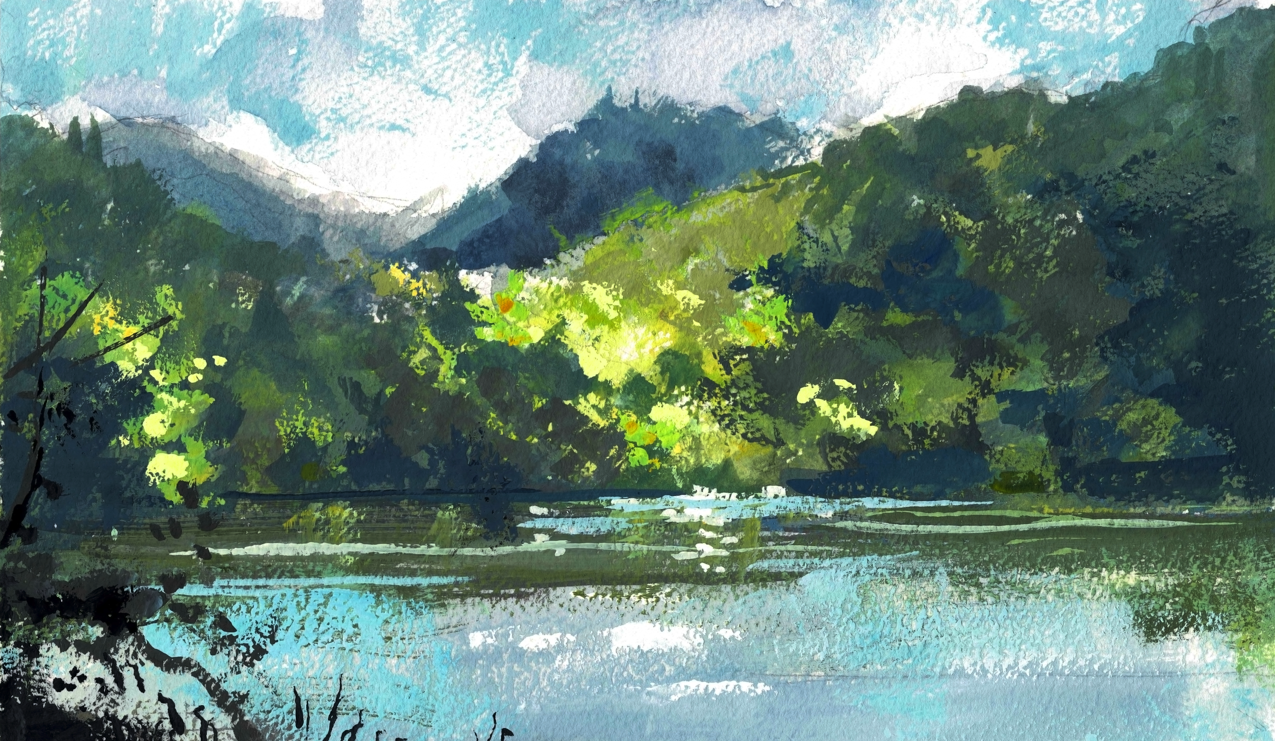 Radnor Lake in Midsummer