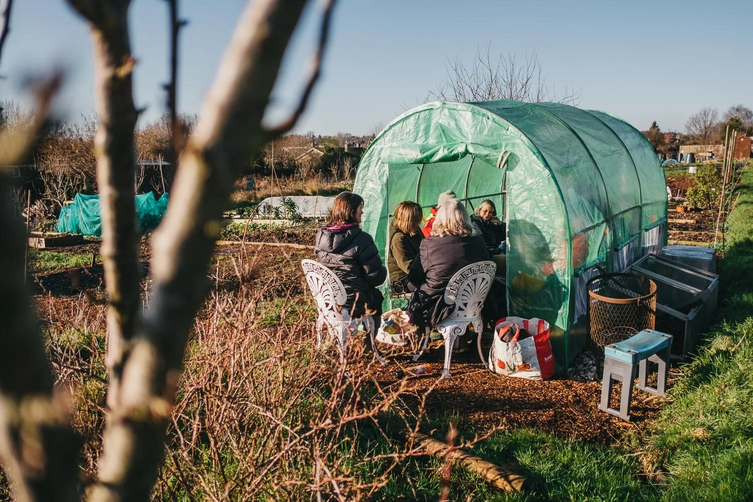 Day at Plot 31 [photos]