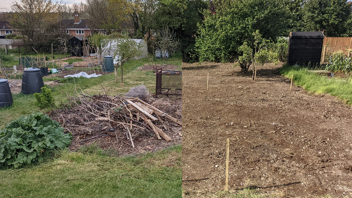 Clearance of the communal plot at Holcroft [photos]