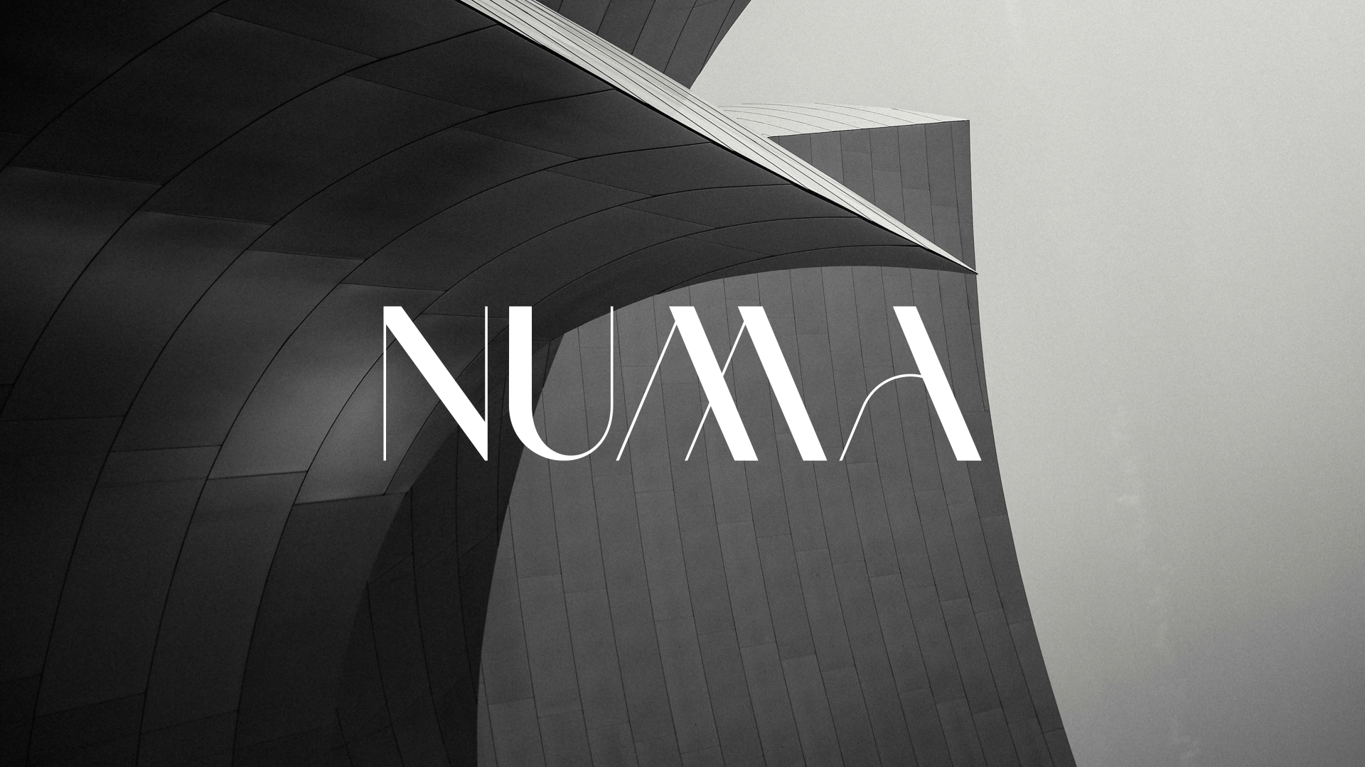 NUMA BRANDING DESIGN_R2.001.png