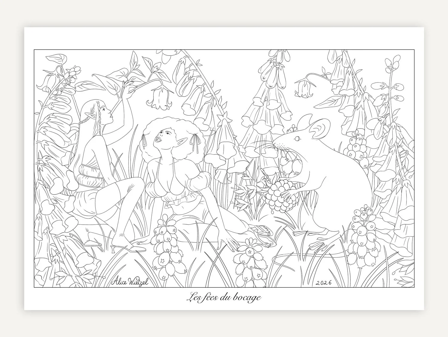 Coloriage Fées du Bocage.jpg