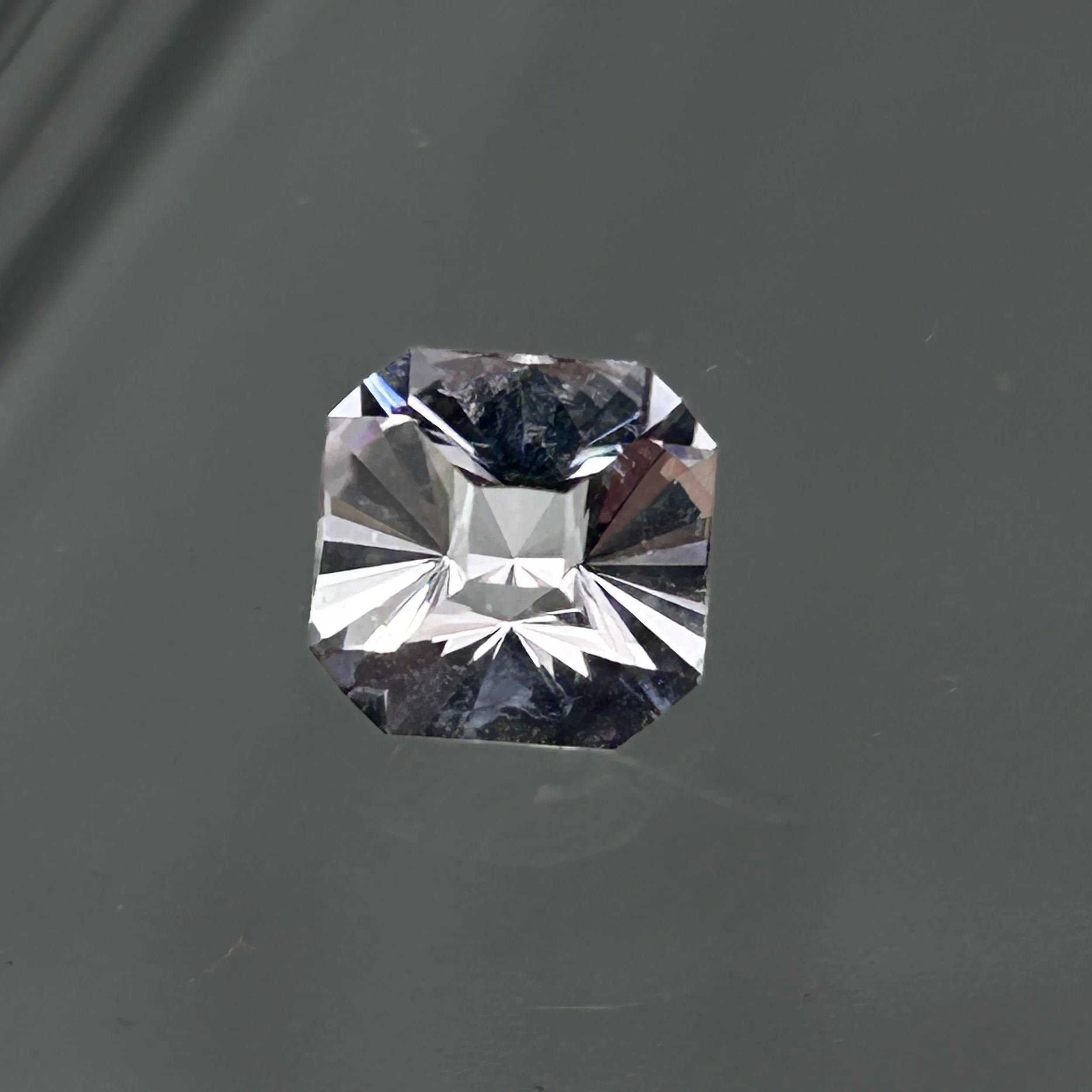 Sunshine Daydream "Rose de France"