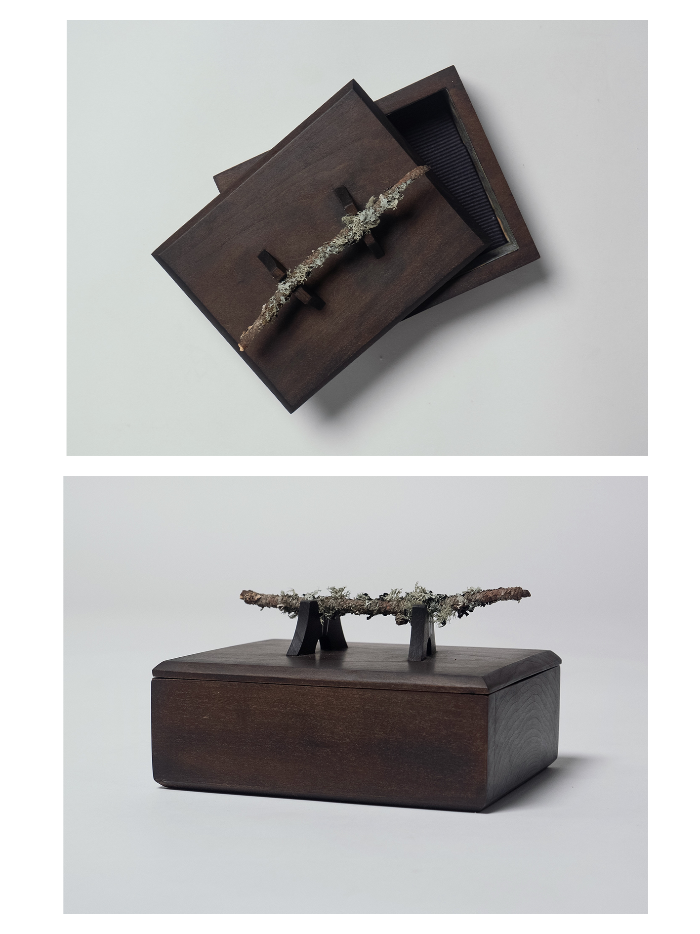 lichen_box.png