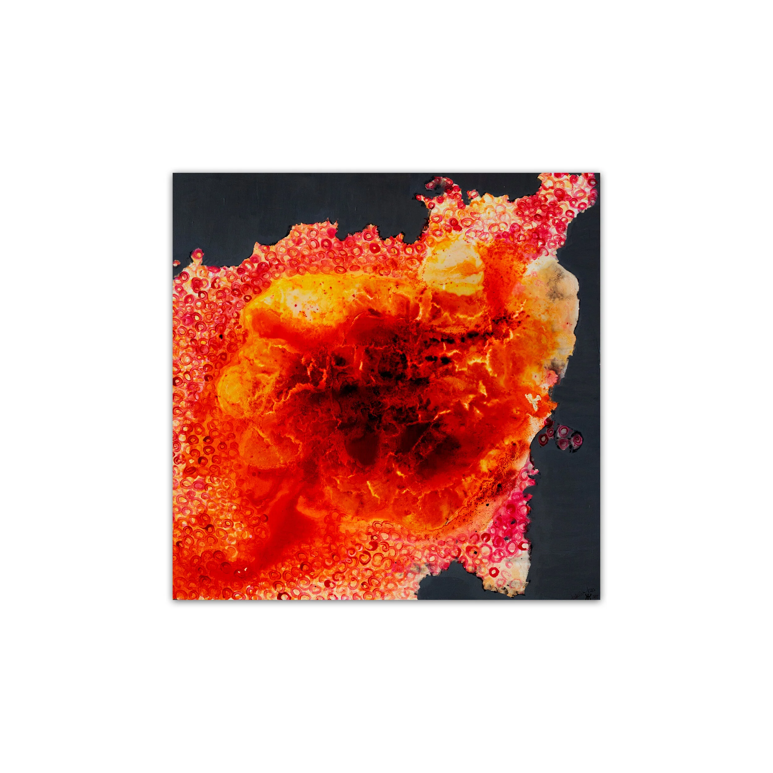50x50cm_Only the strong will survive.jpg