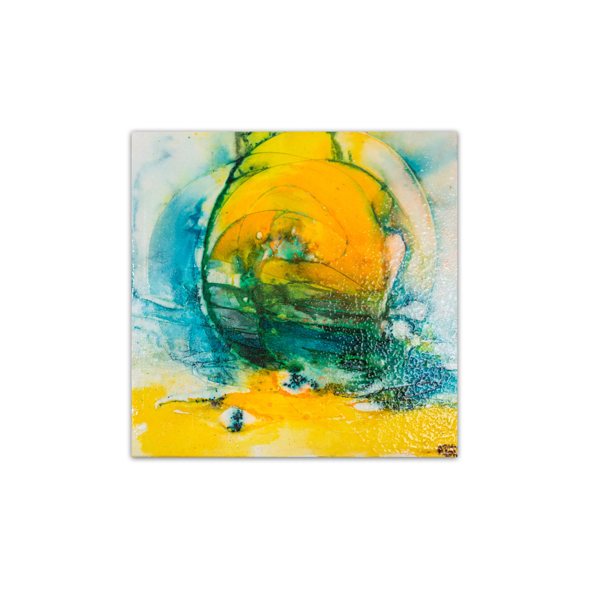 50x50cm_Streuner.jpg