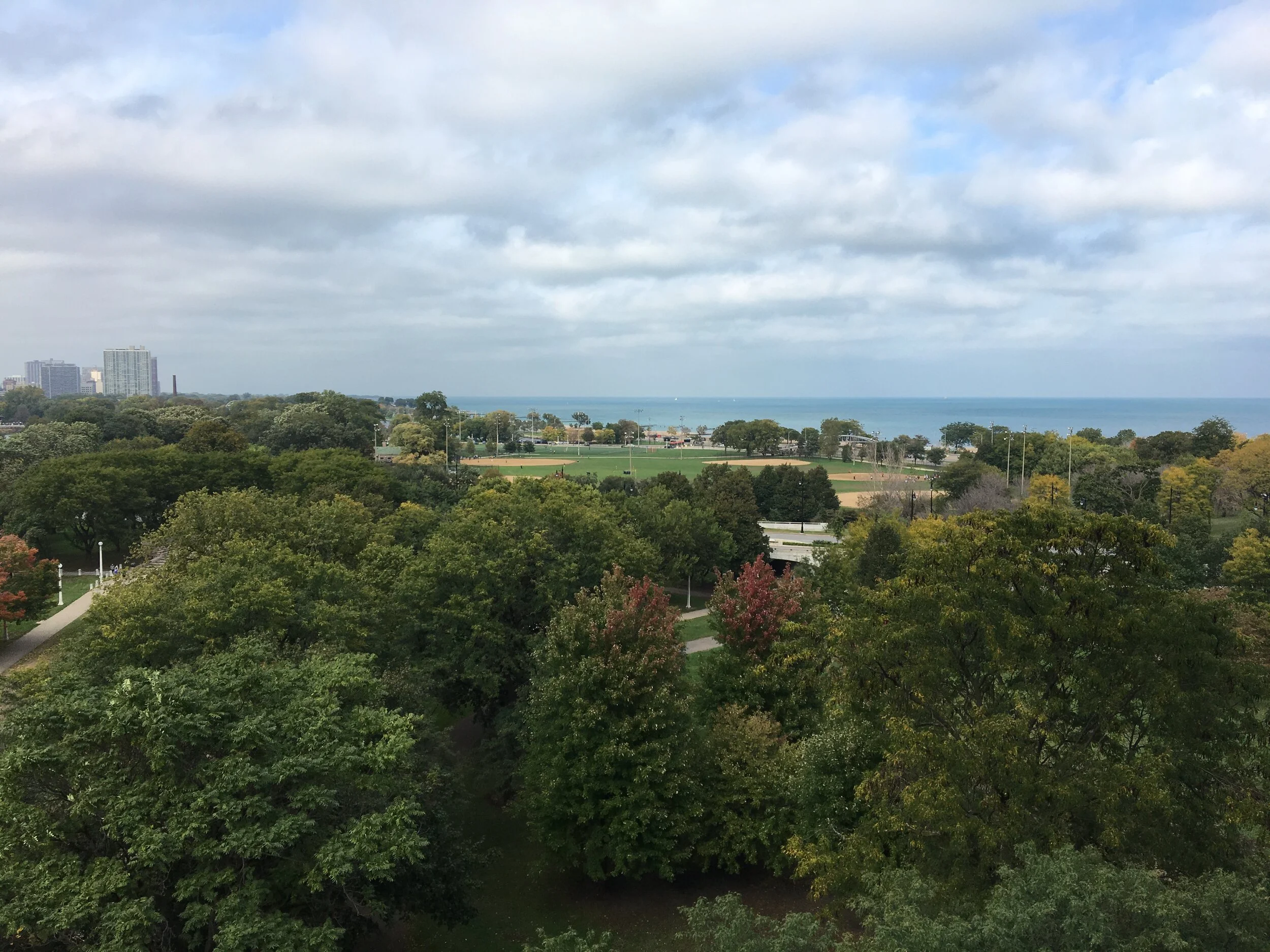 What it takes to be successful, a six year case study