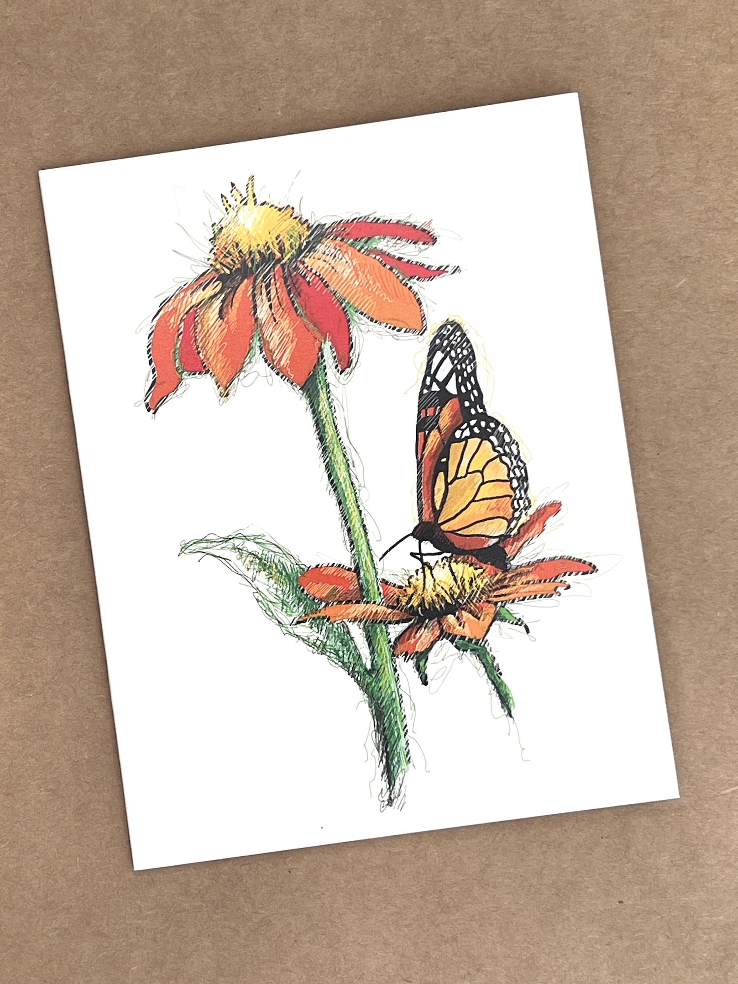 Mexican Sunflower
